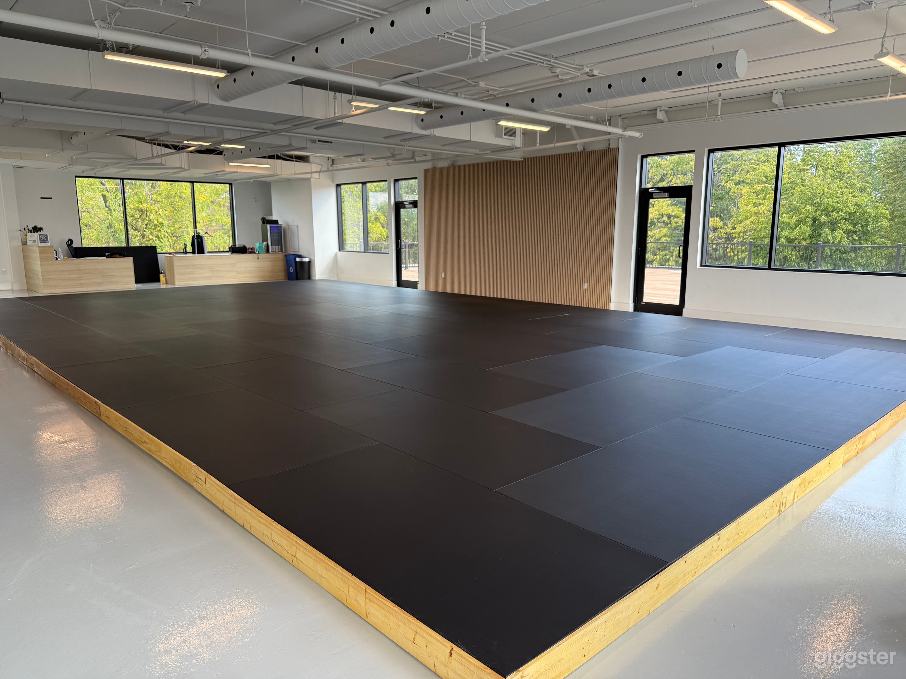 Versatile Brazilian Jiu-Jitsu & Training Studio in Oakville Photo 2