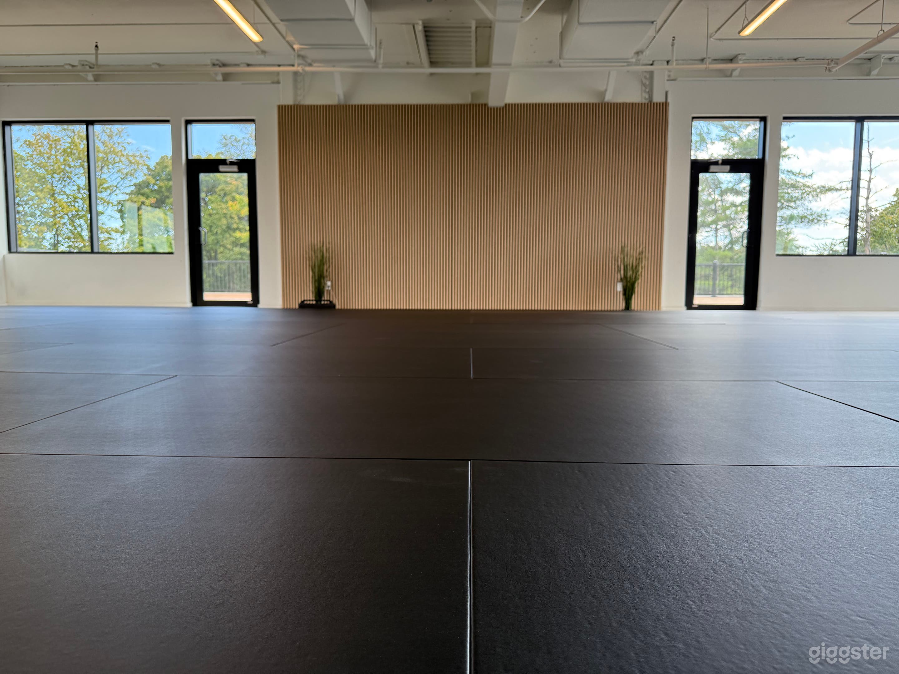 Versatile Brazilian Jiu-Jitsu & Training Studio in Oakville Photo 3