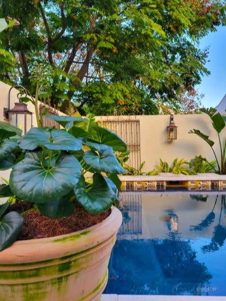 Eclectically Appointed Home  Photo 3