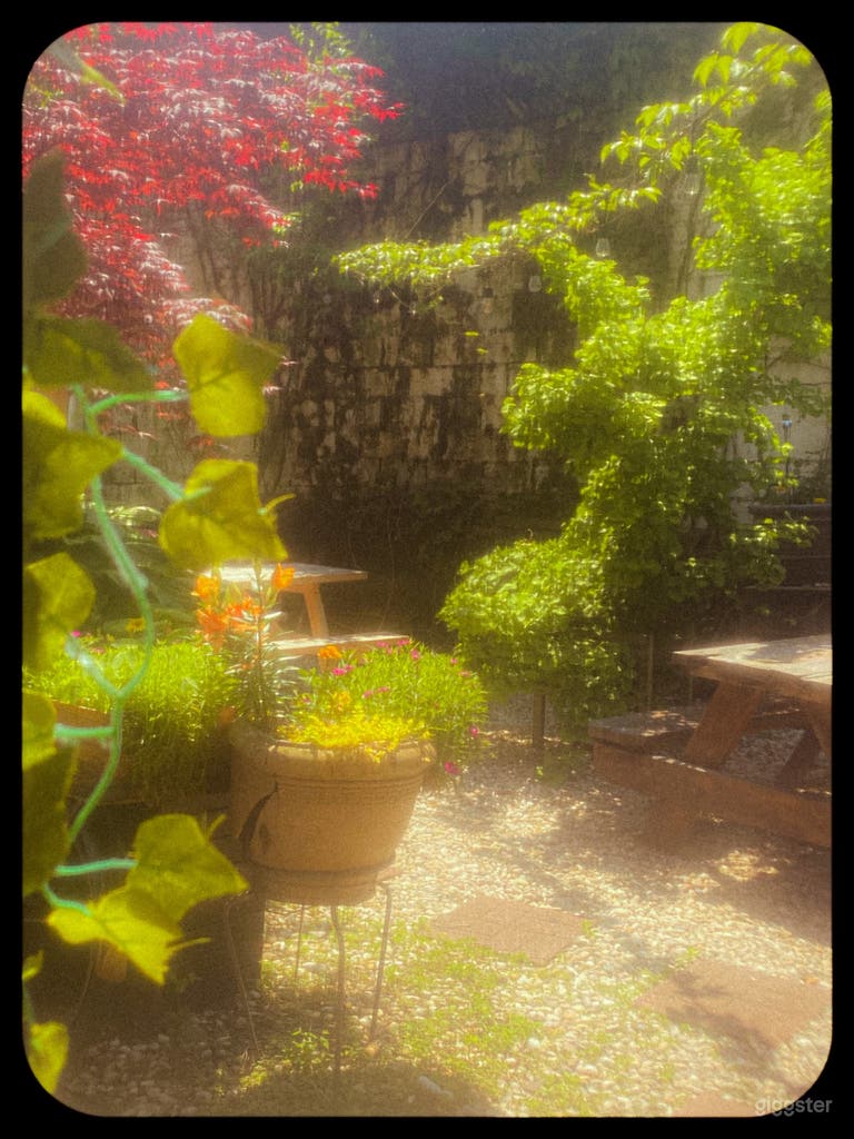  Wine and Bier Garden Near the Beach  
