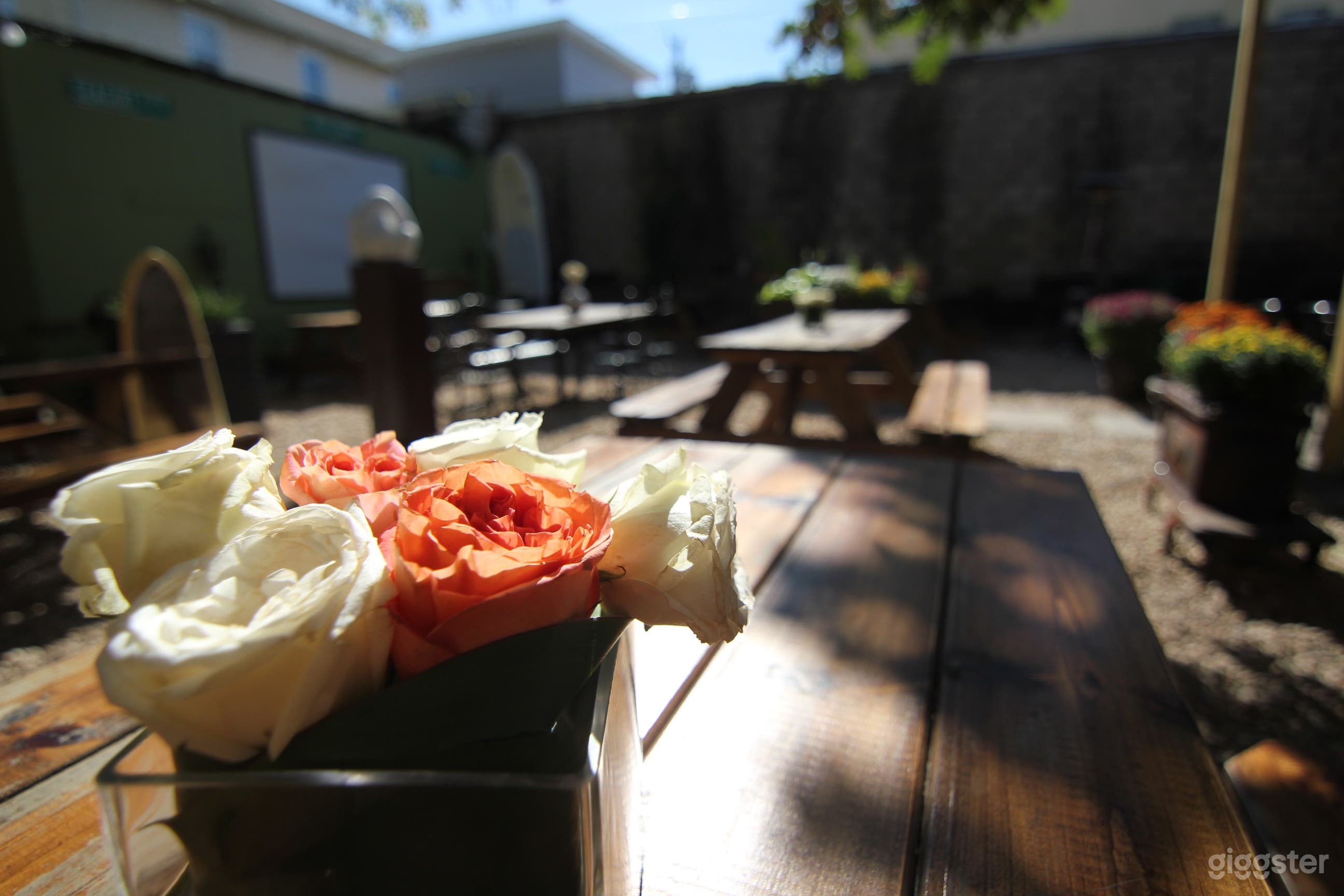 Wine and Bier Garden Near the Beach  Photo 1