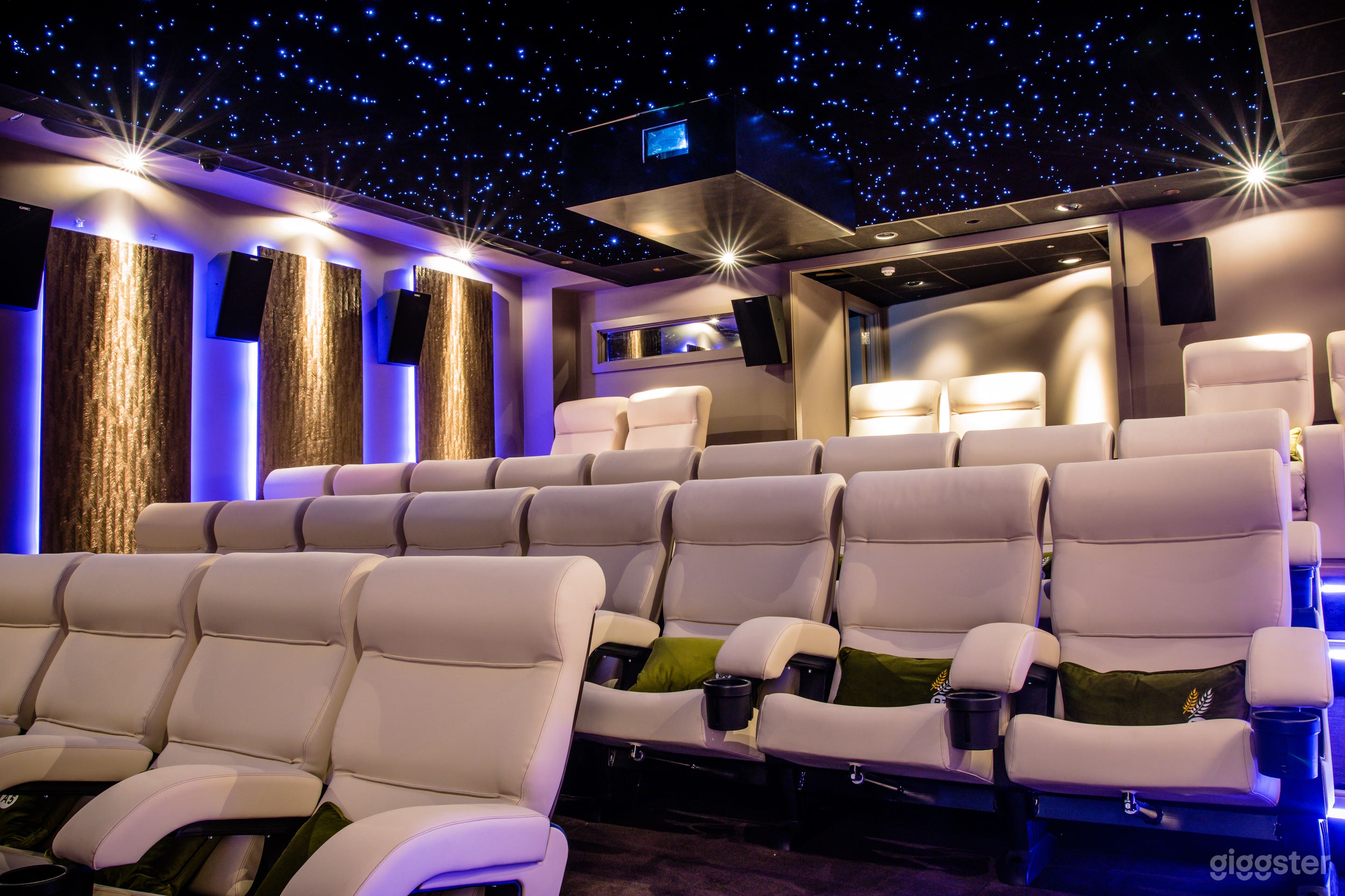 Luxury 30 seat cinema (plus a wheelchair space) with reclining seats.