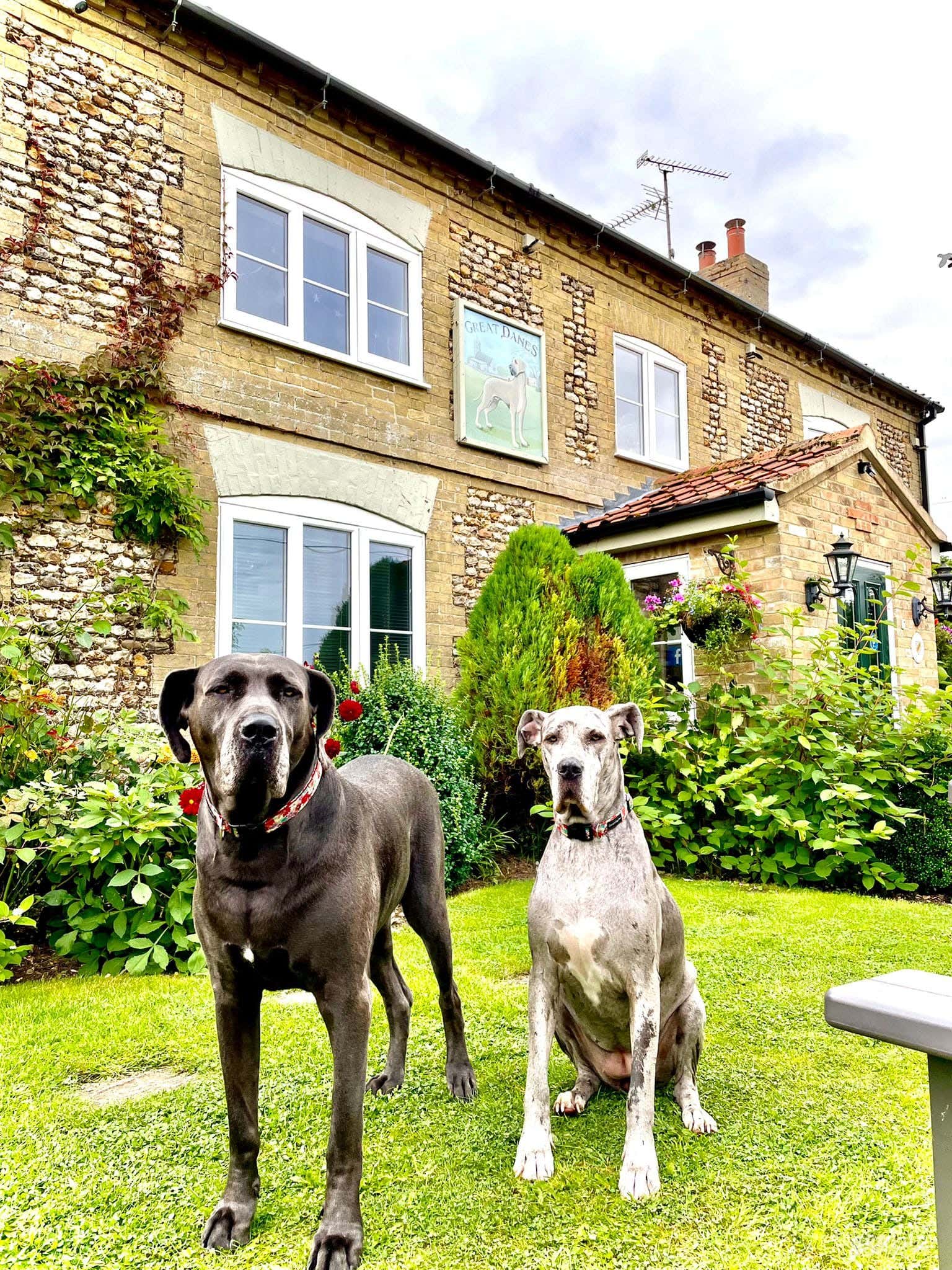  Country Inn Hotel set in the quiet village of Beachamwell Photo 2
