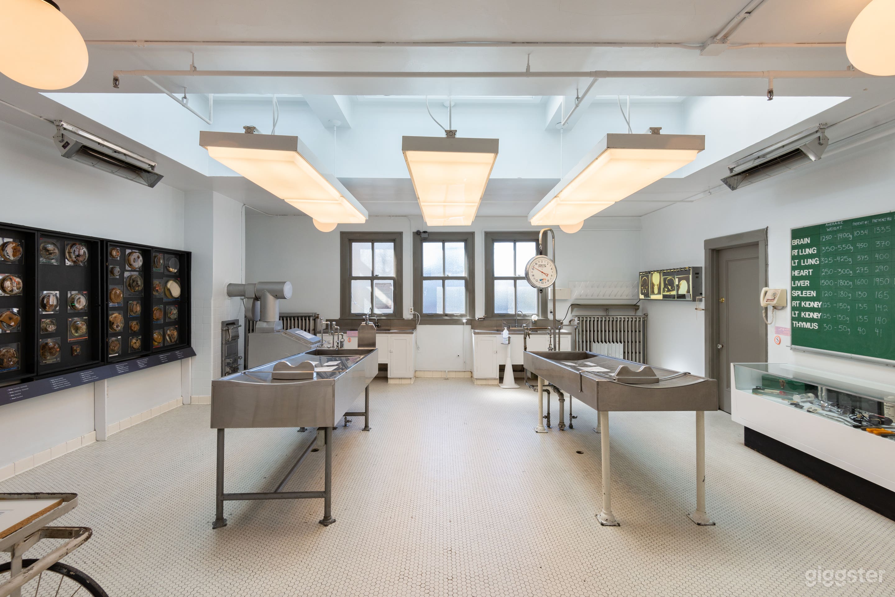 The Autopsy Suite Photo 1