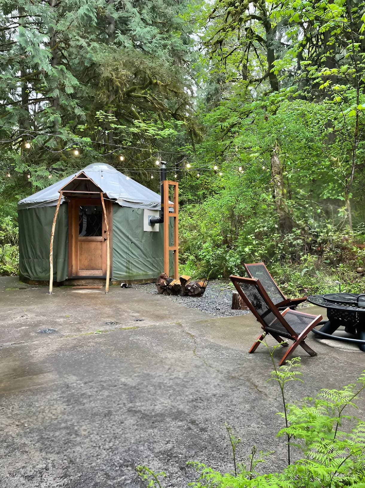 Puffball - Cozy Forest Yurt Photo 4