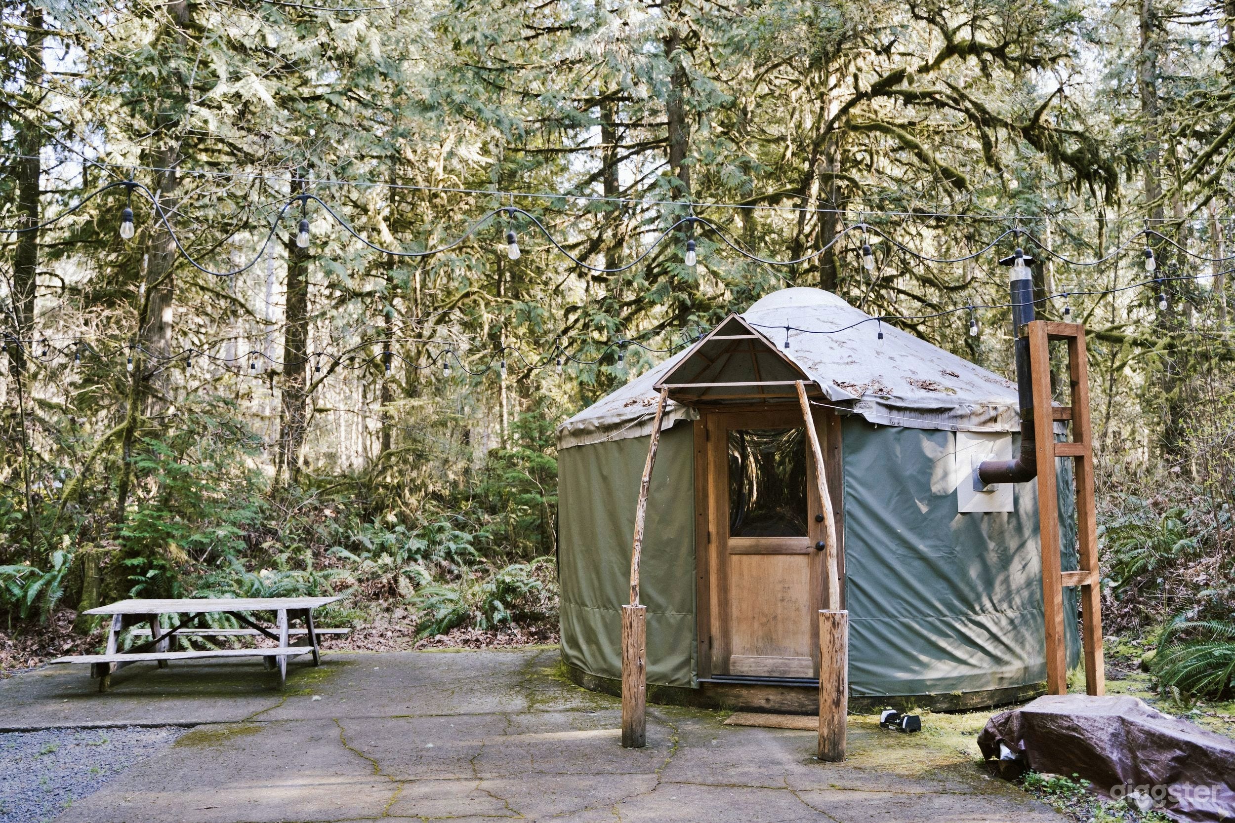 Puffball - Cozy Forest Yurt Photo 1