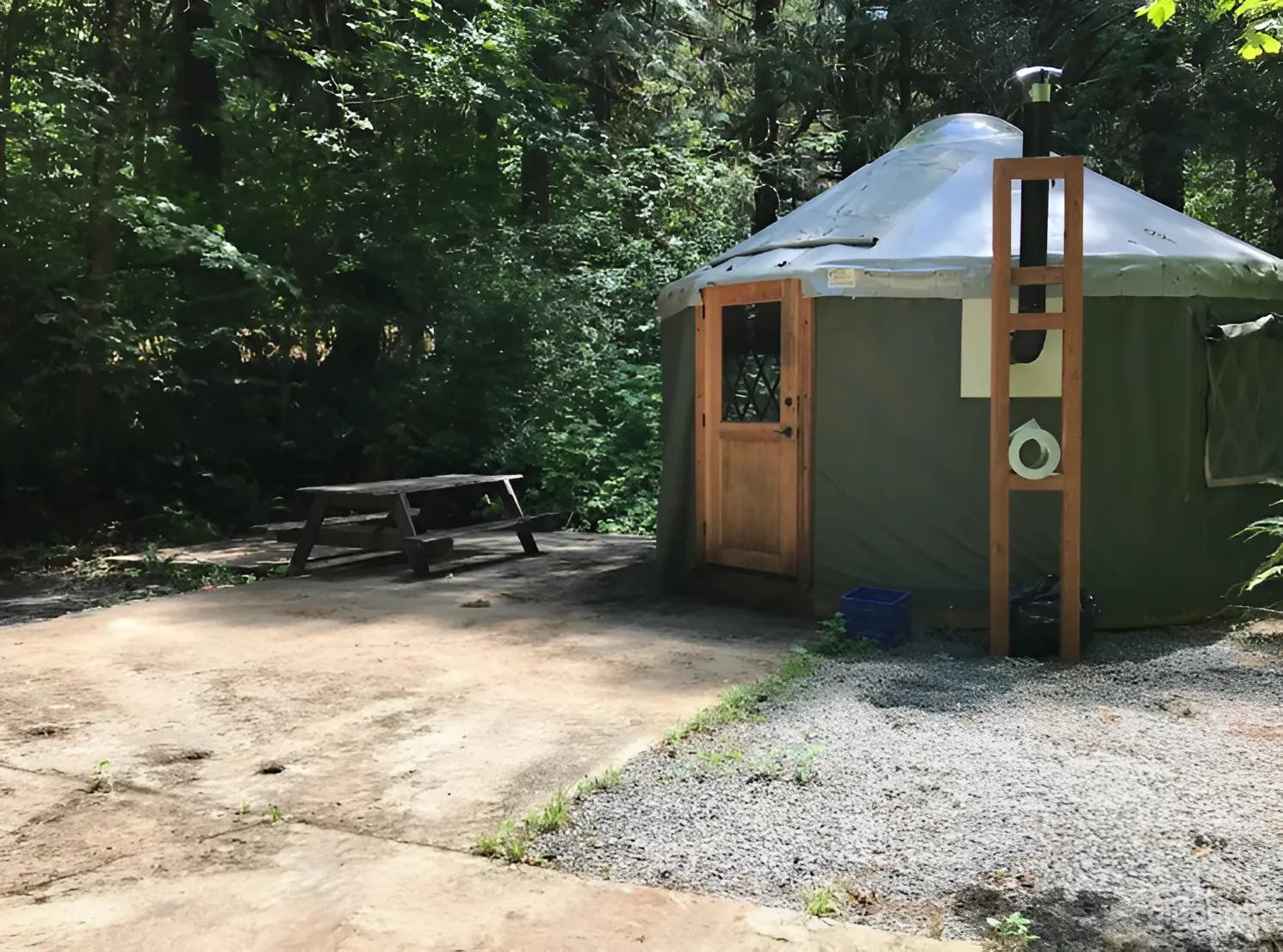 Puffball - Cozy Forest Yurt Photo 3