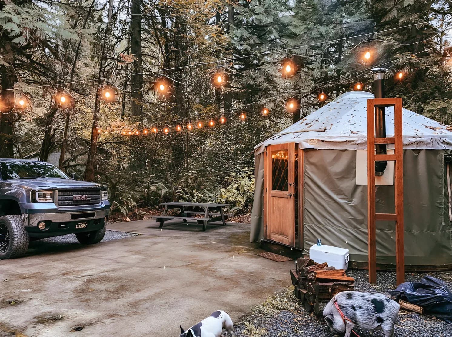 Puffball - Cozy Forest Yurt Photo 2