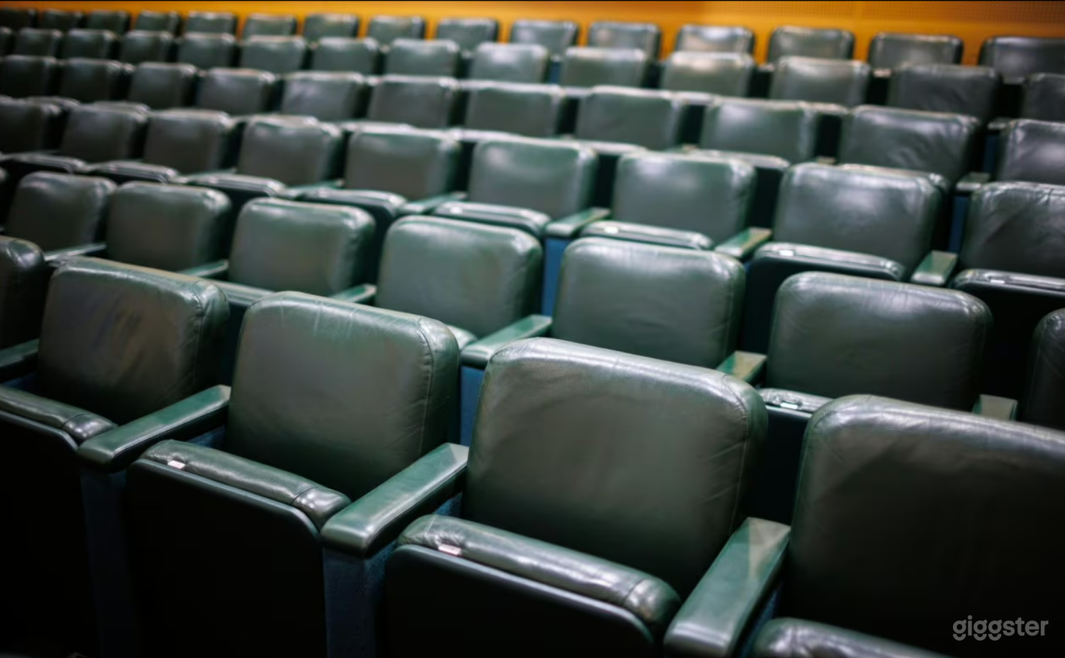 Max Rayne Auditorium Photo 4