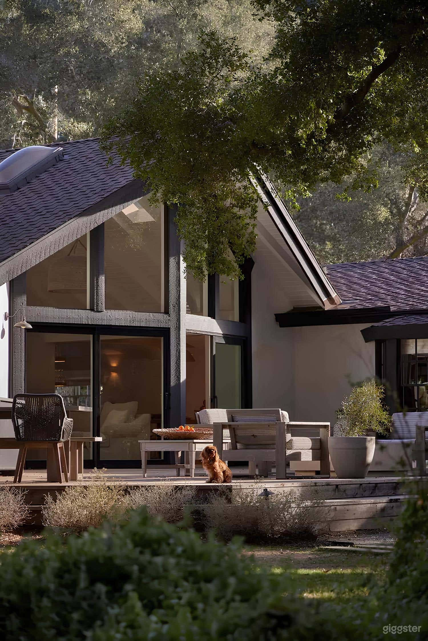 Serene Woodland Backyard Retreat Photo 4