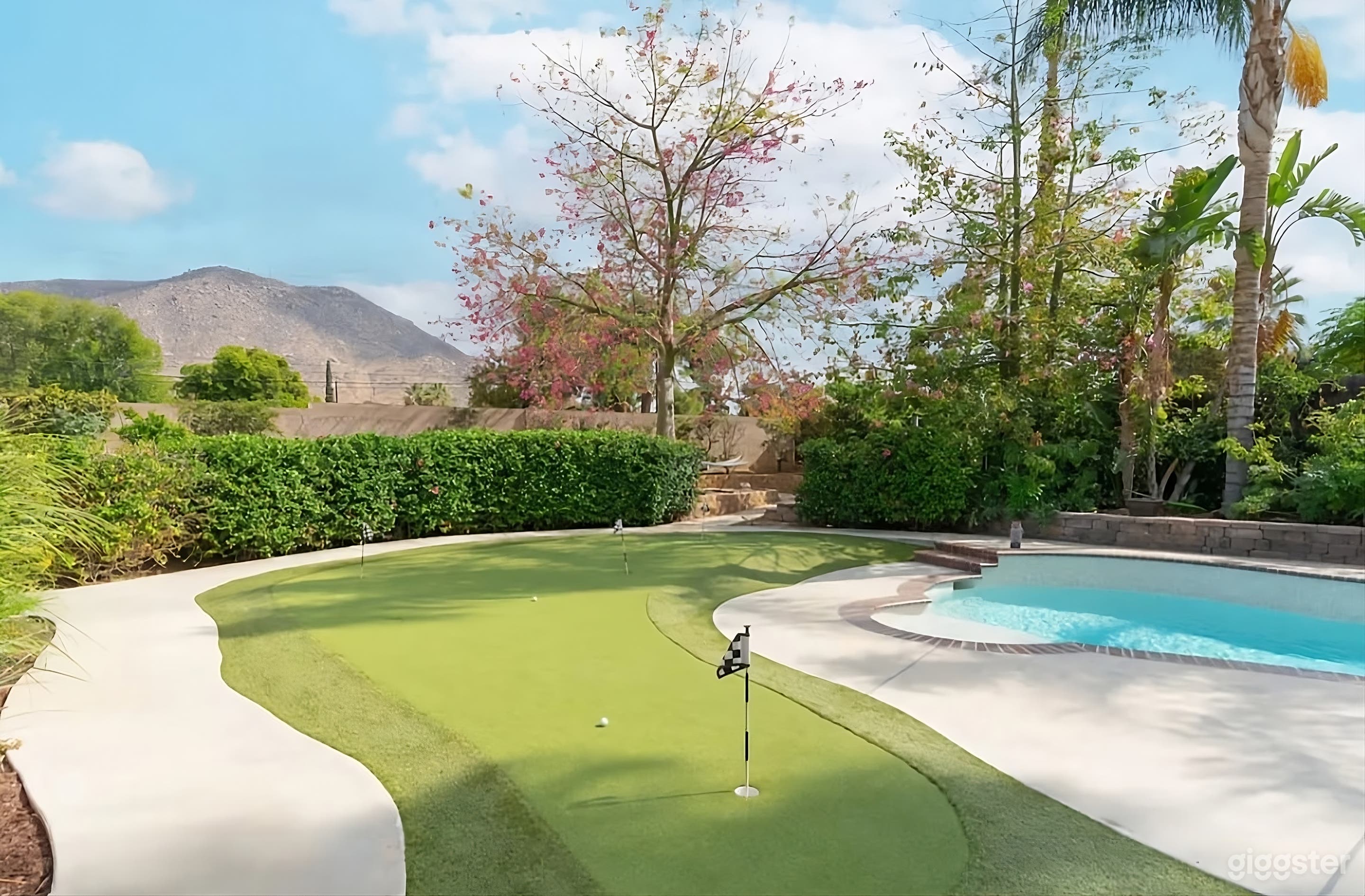 Backyard with Pool and Miniature Golf Photo 2