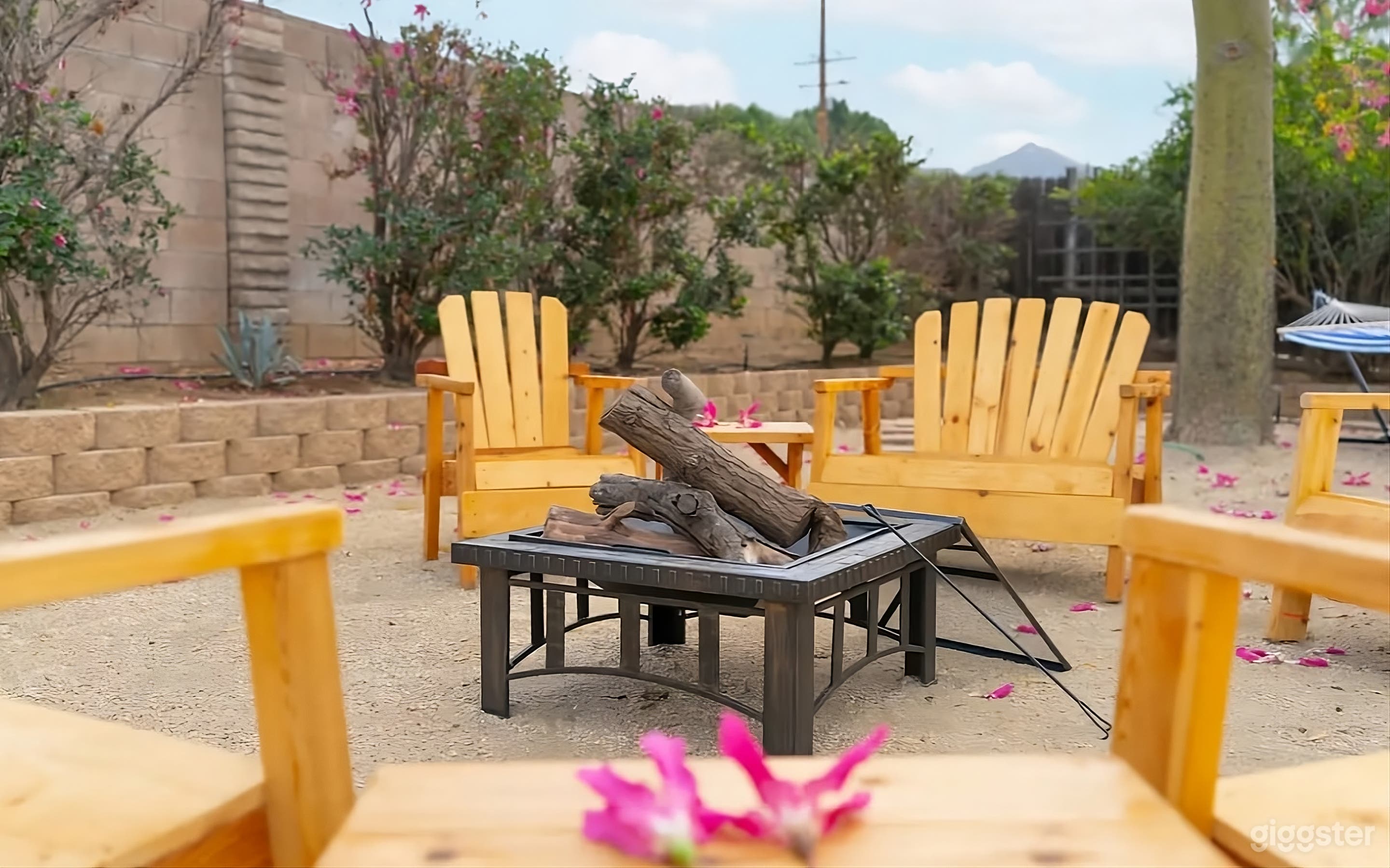 Backyard with Pool and Miniature Golf Photo 4