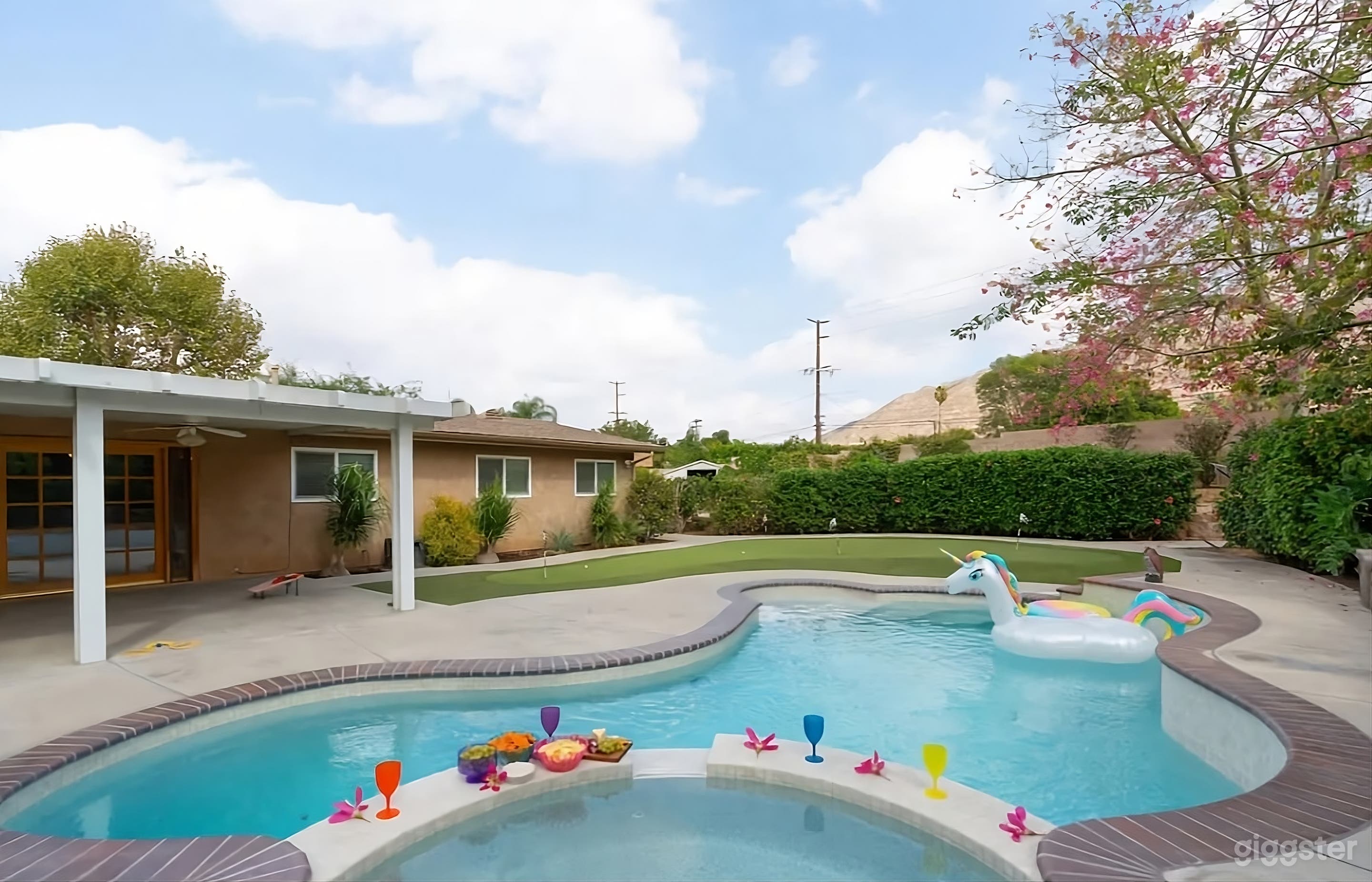 Backyard with Pool and Miniature Golf Photo 1