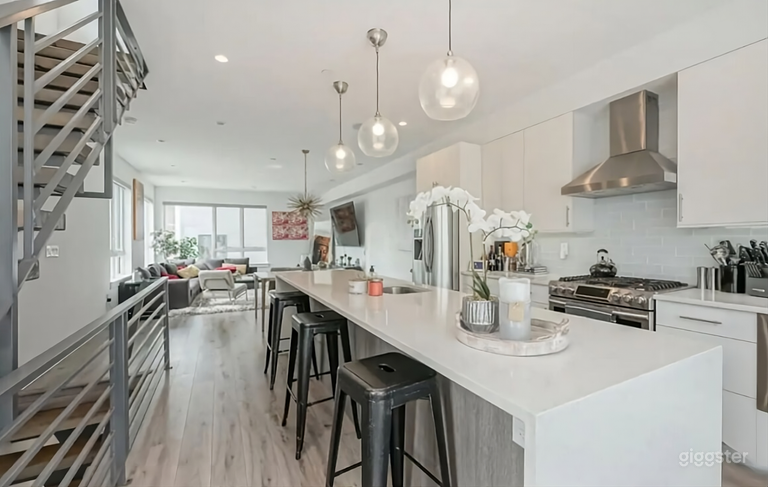  Northern Liberties Luxury Home 