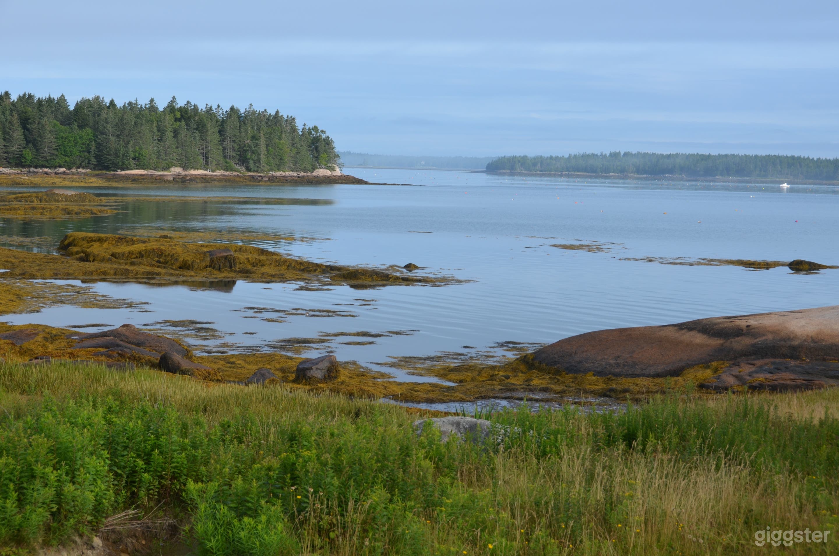 An entire 150 acre island in the Atlantic Photo 2