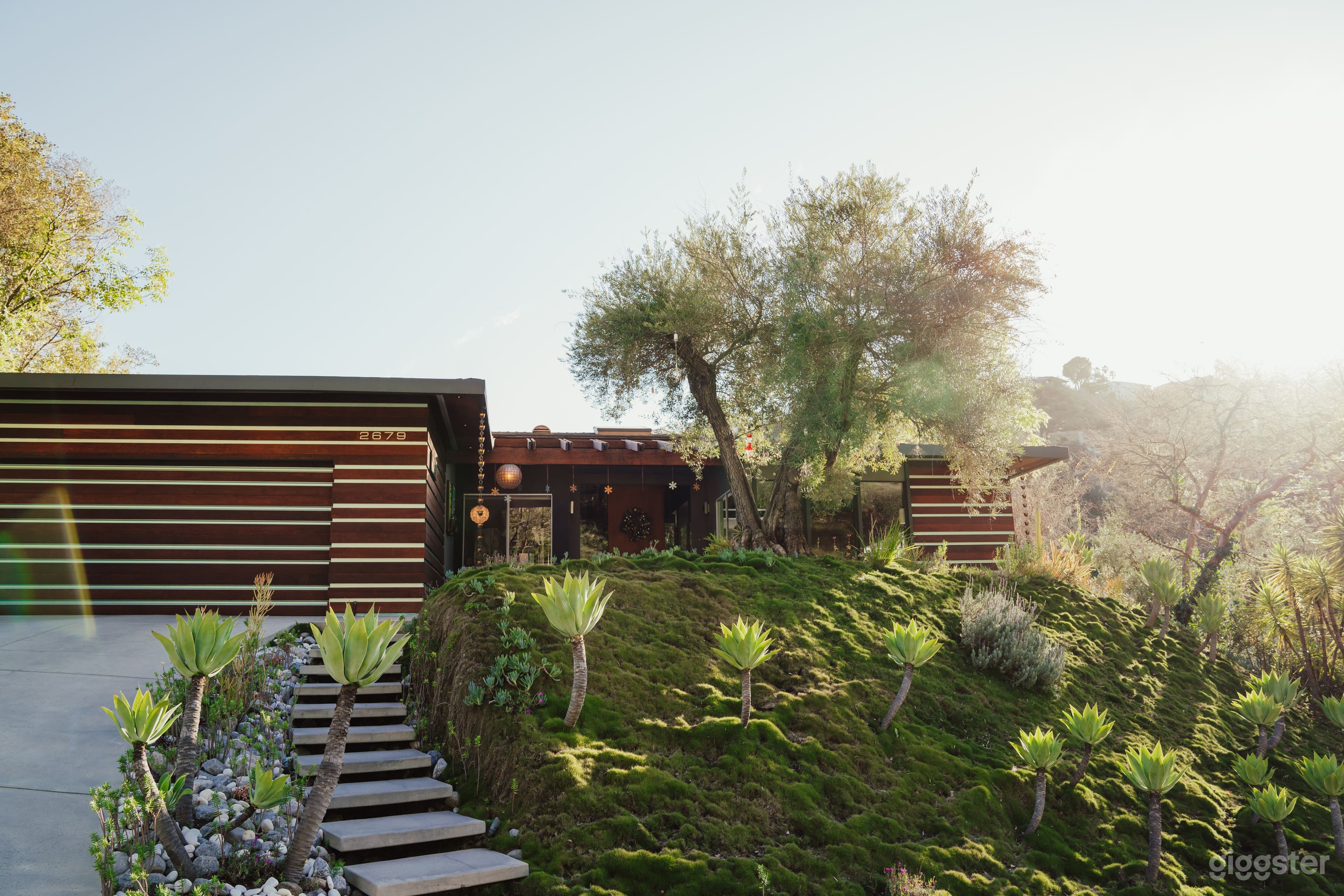 View from the street