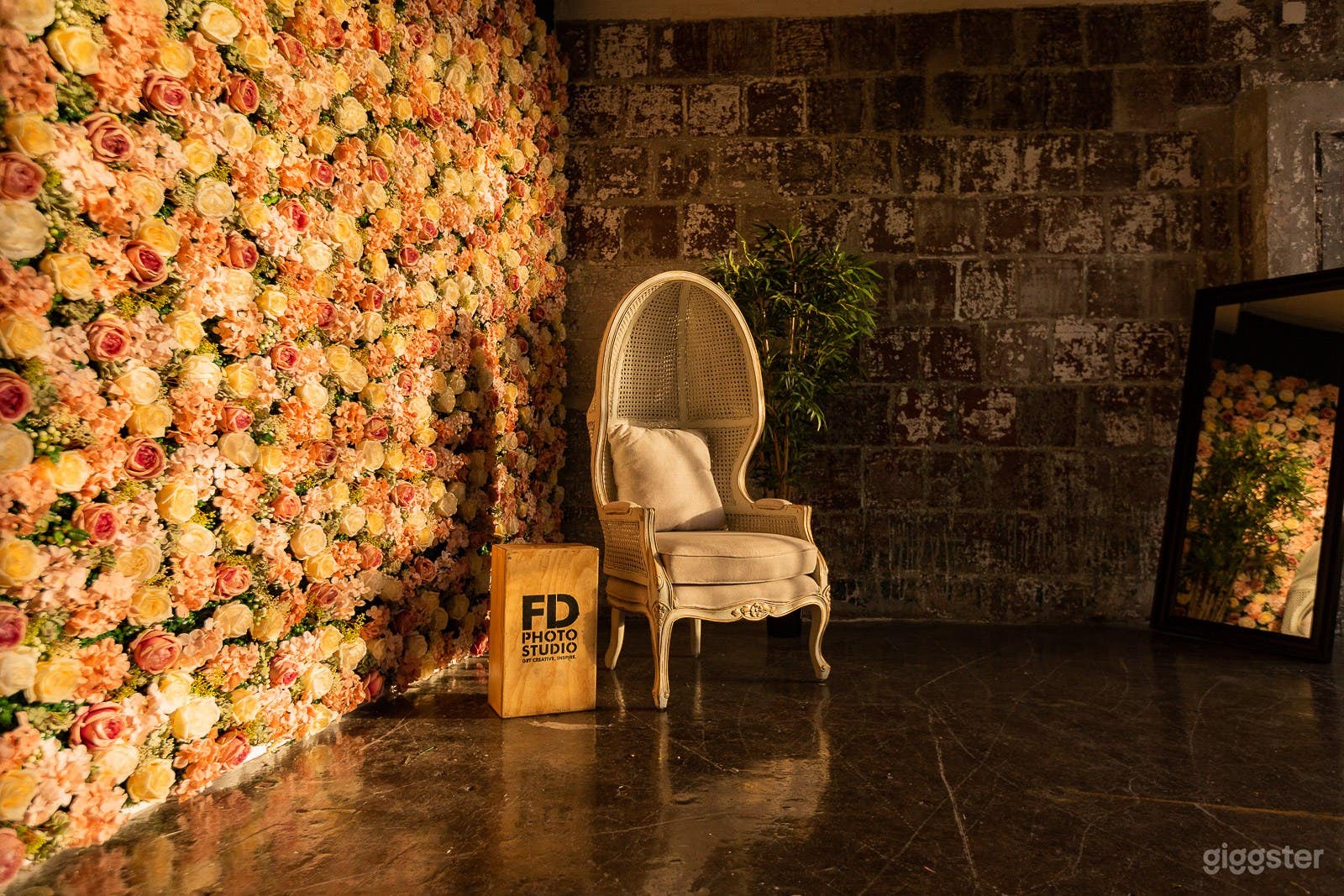 Studio with Flower Wall and Large framed Windows Photo 2