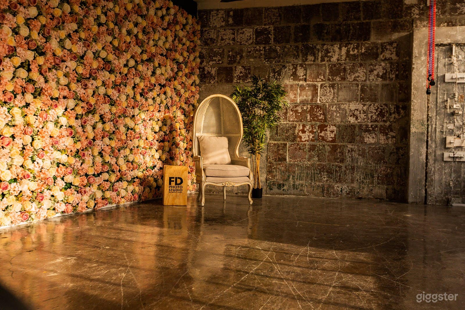Studio with Flower Wall and Large framed Windows Photo 3