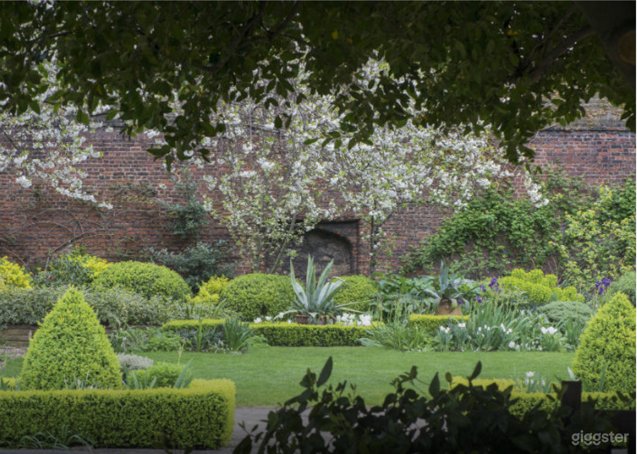 The Norfolk Garden Photo 2