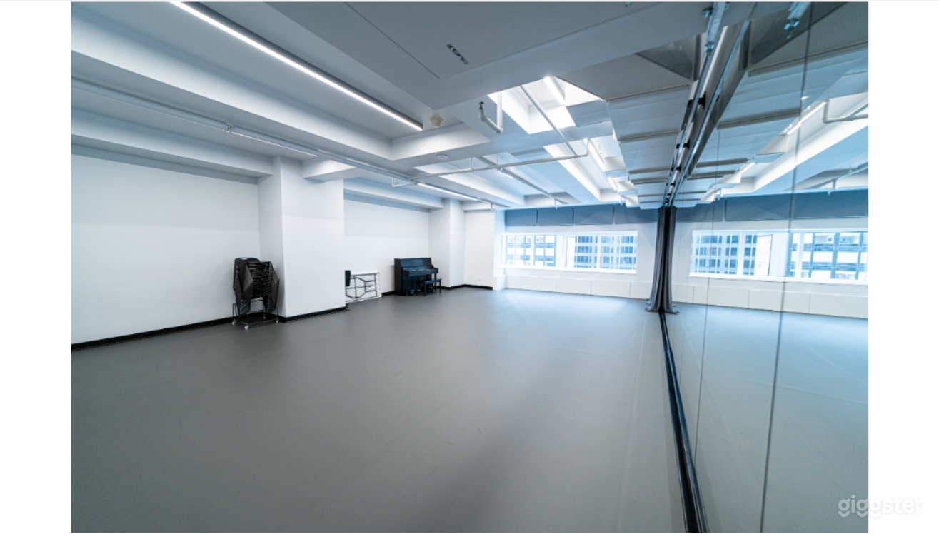 Large studio (#11L) with northern exposure (can be blocked out). 912 fl