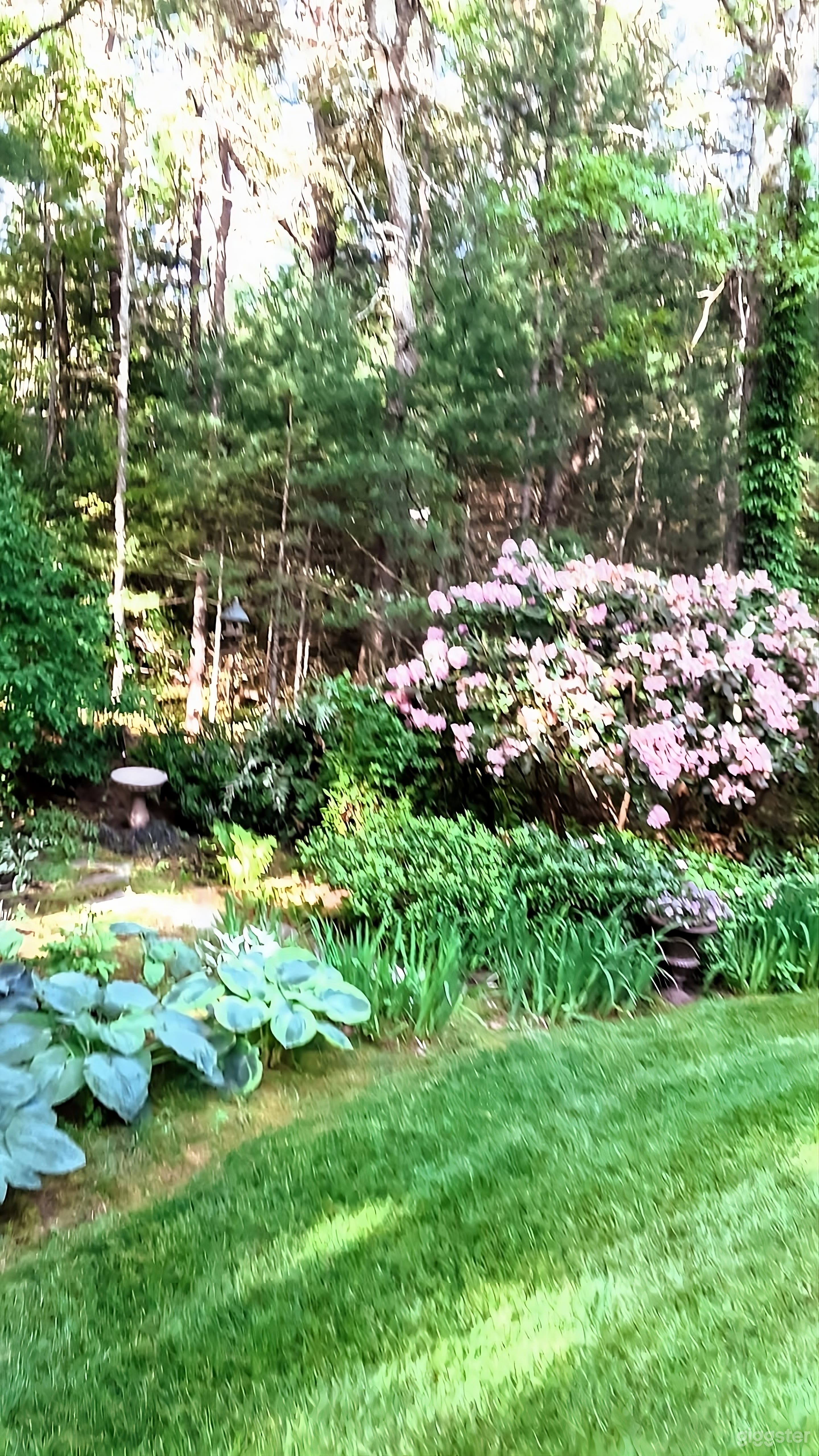 Gardener's Dream Backyard Photo 2
