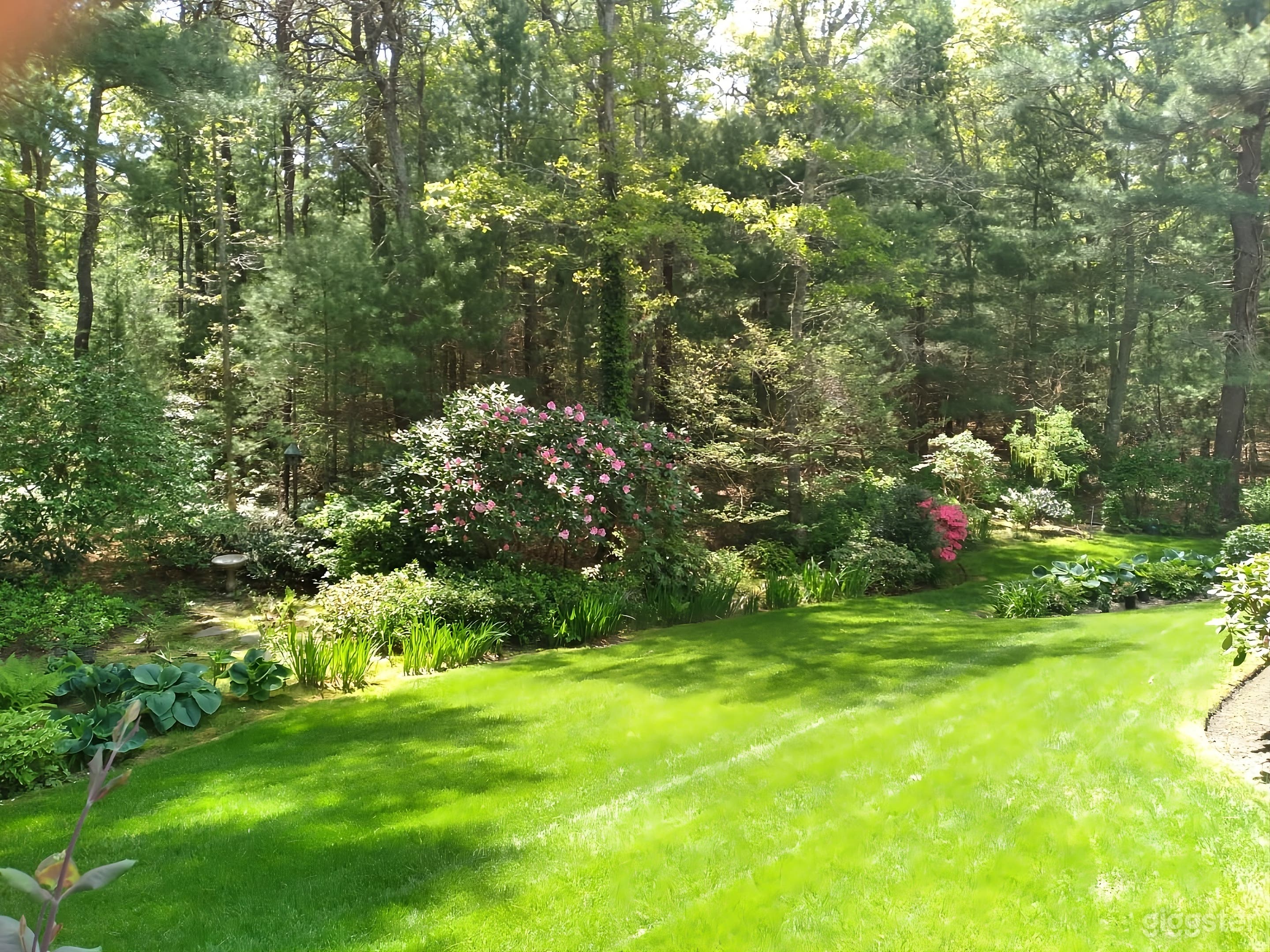 Gardener's Dream Backyard Photo 1