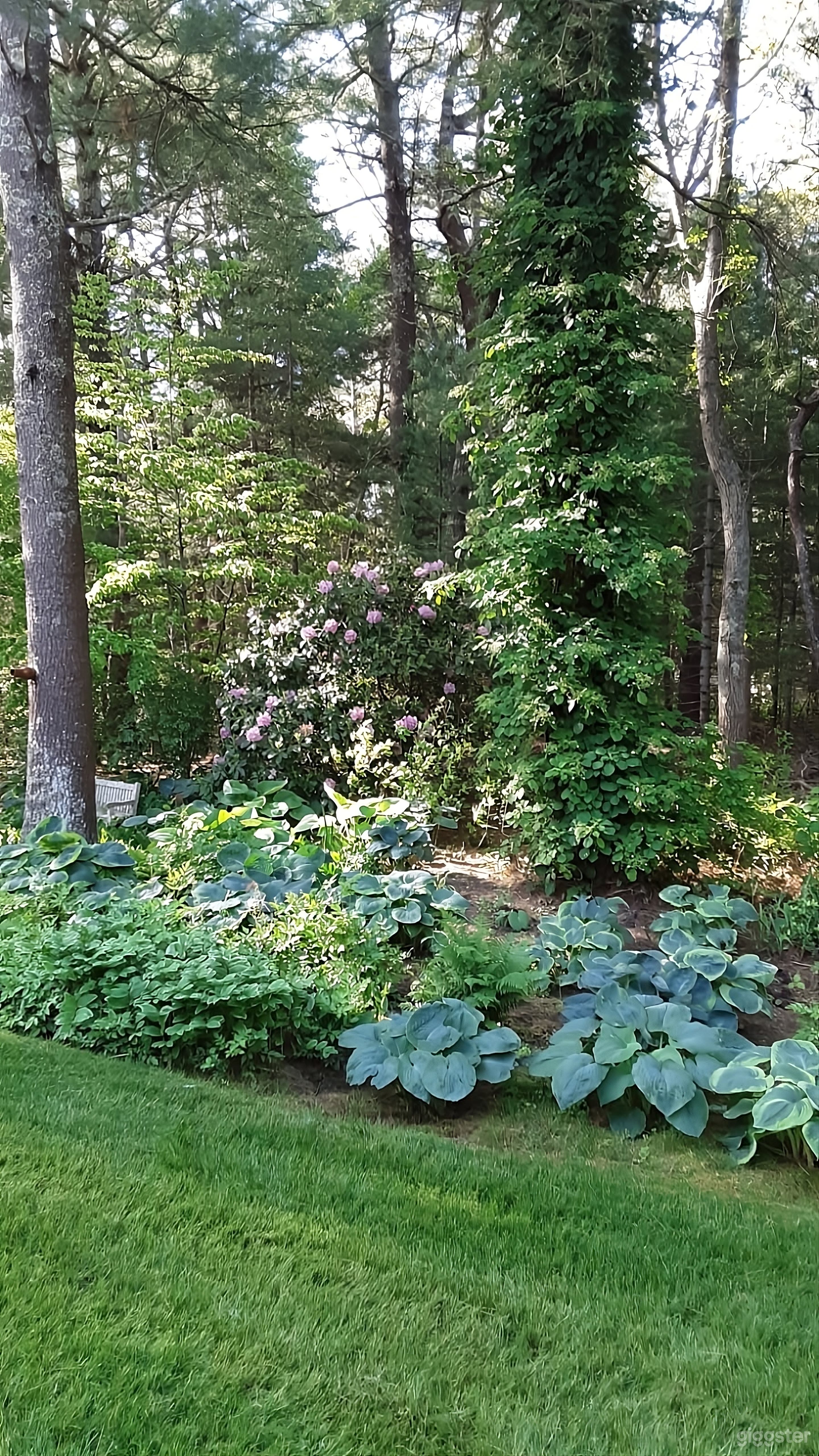 Gardener's Dream Backyard Photo 4