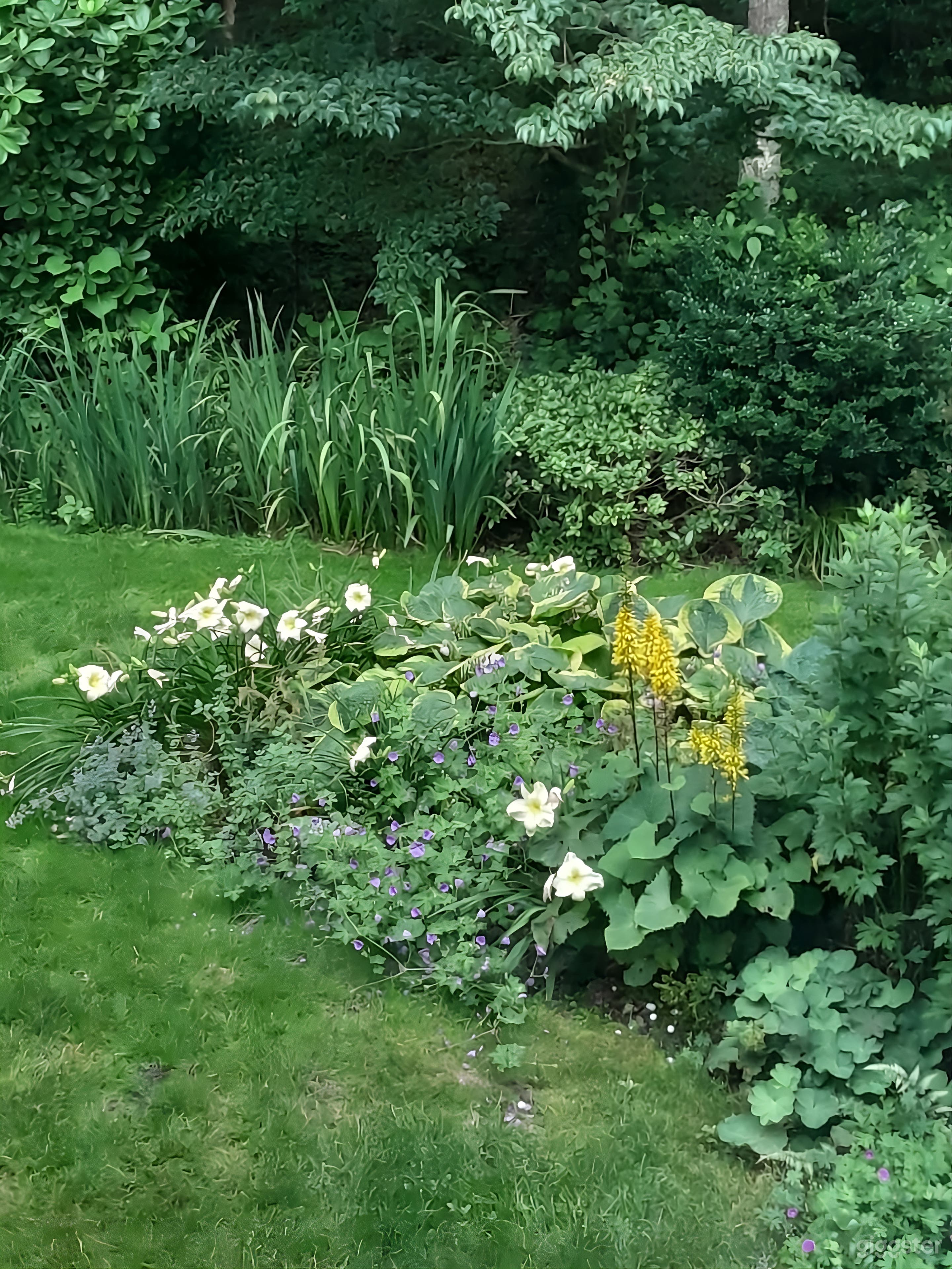 Gardener's Dream Backyard Photo 3