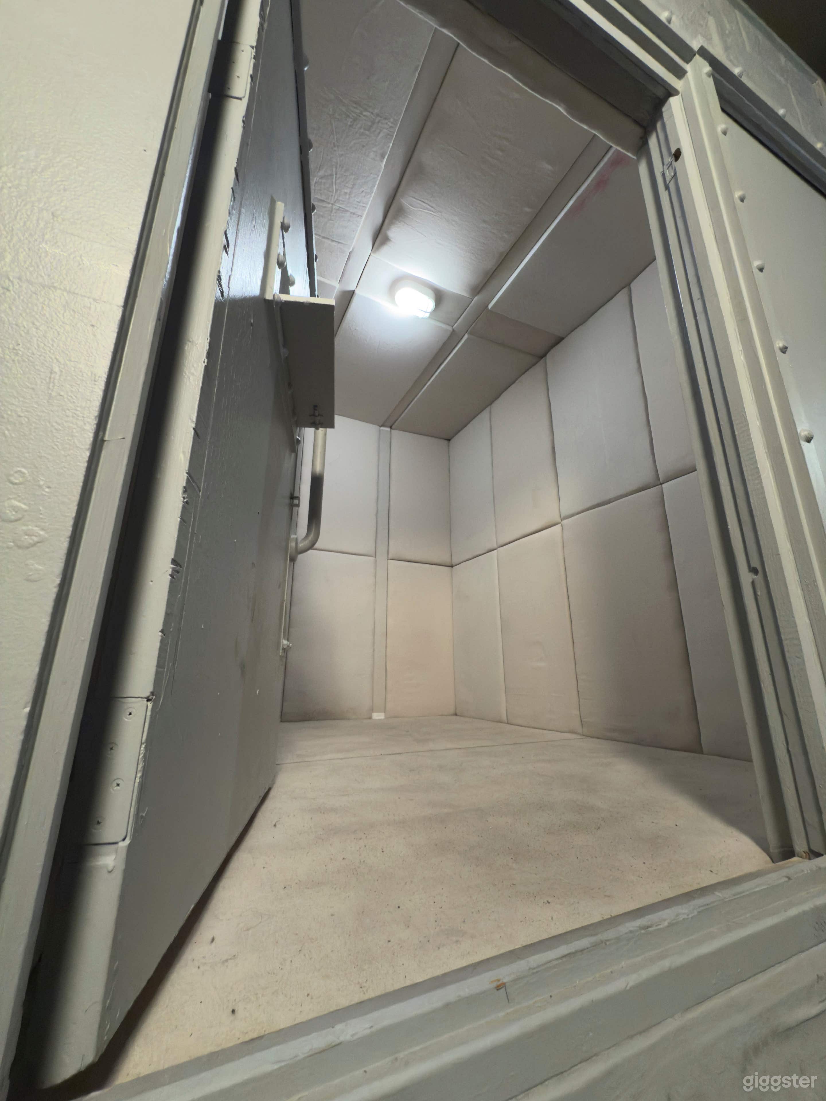 ASYLUM / PADDED CELL STANDING SET Photo 1