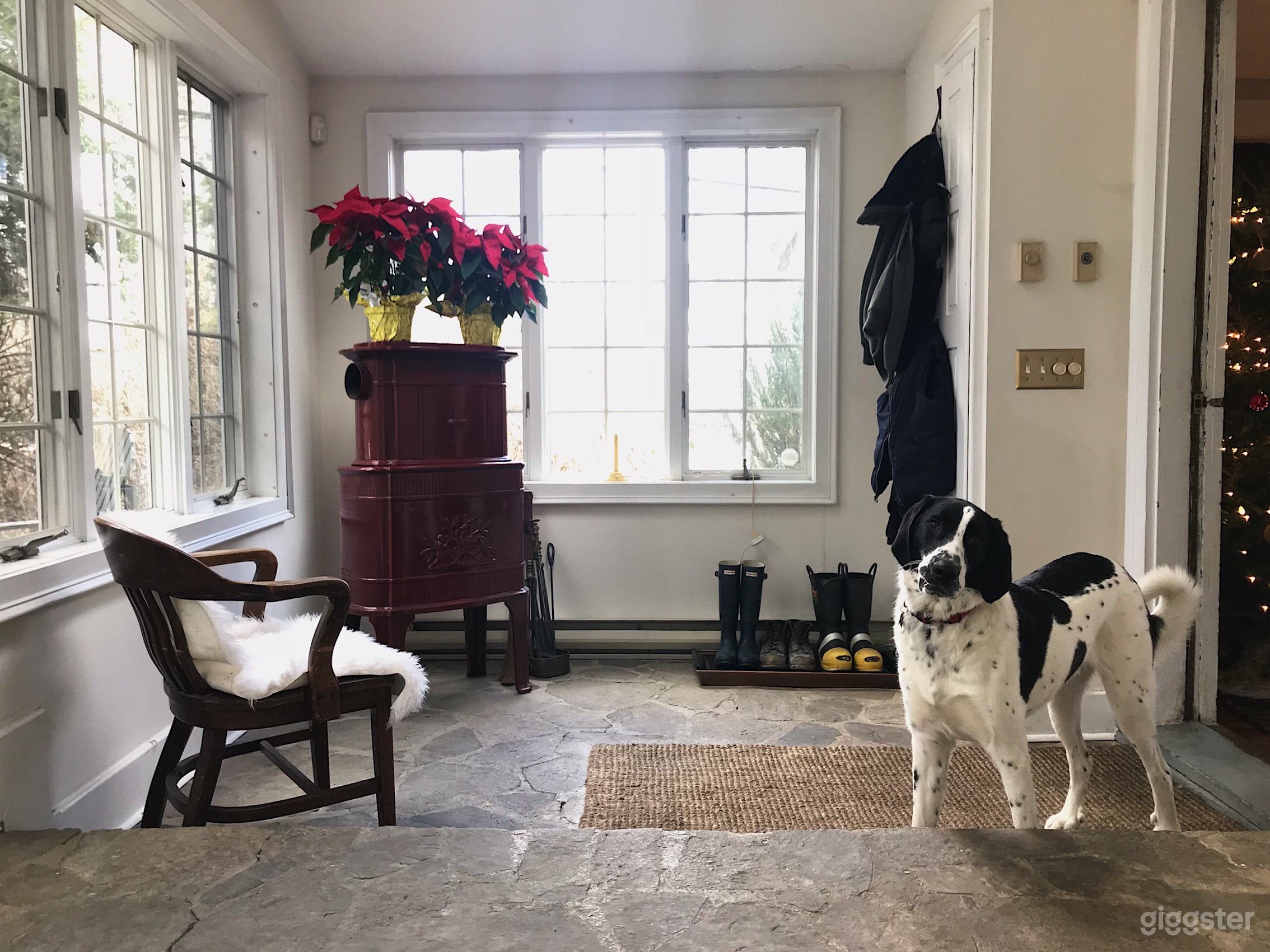 Sun room facing street side.