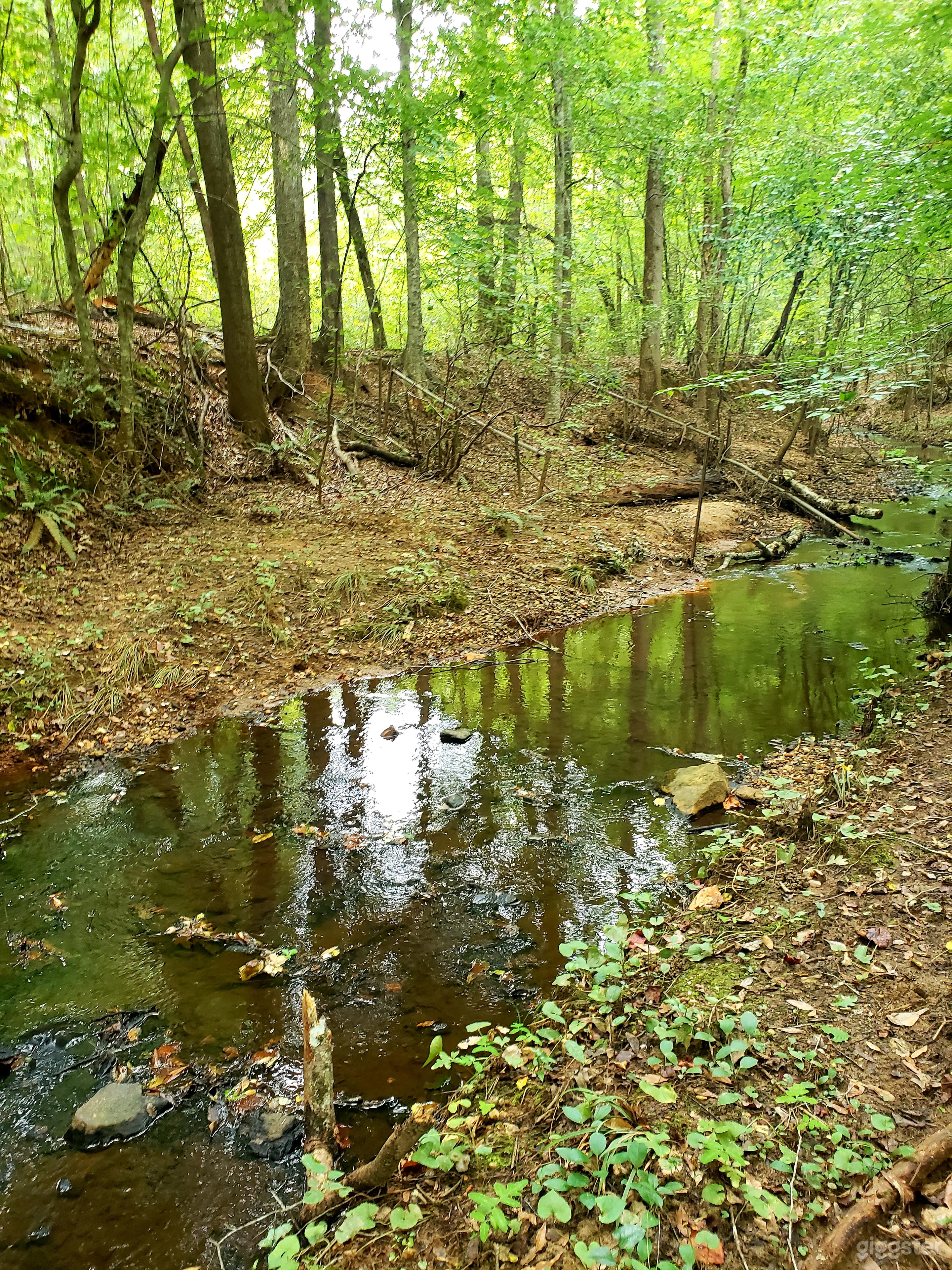 23 Acres on South River Photo 2