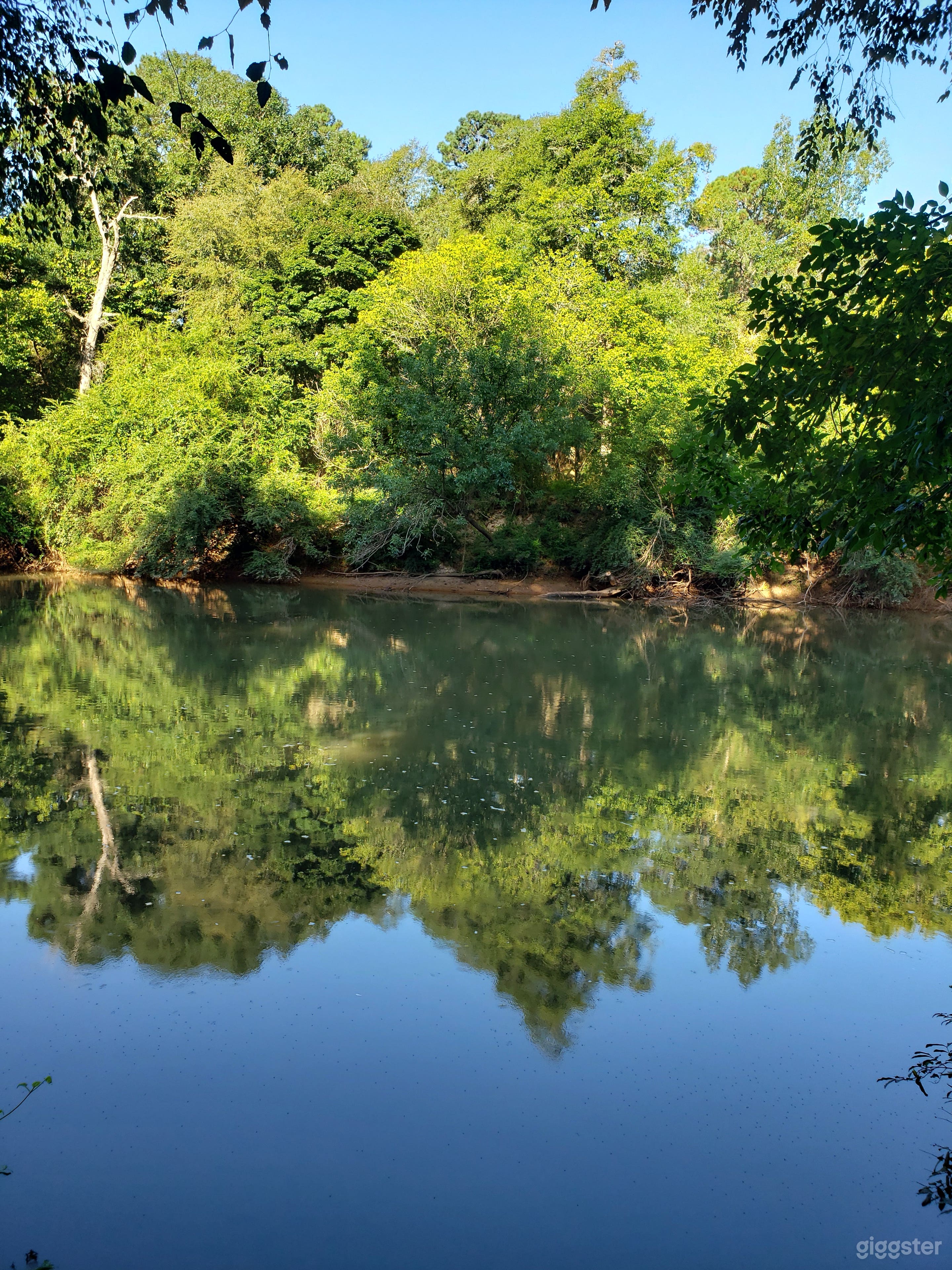 23 Acres on South River Photo 4