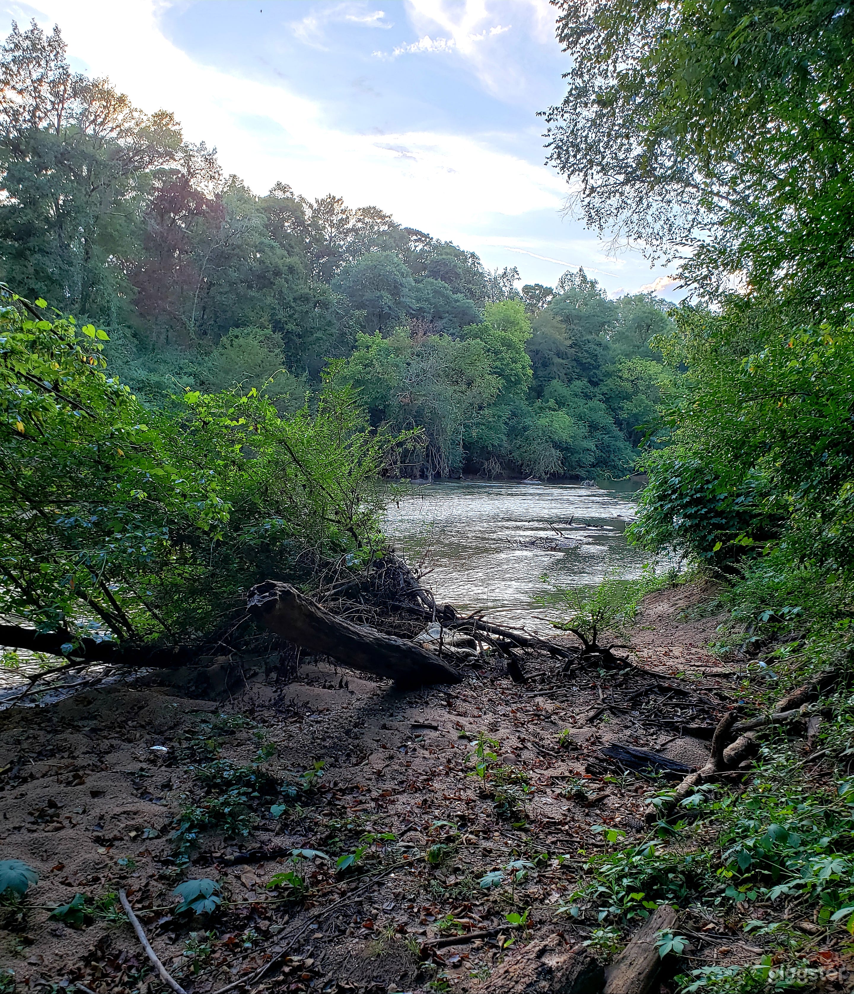 23 Acres on South River Photo 3