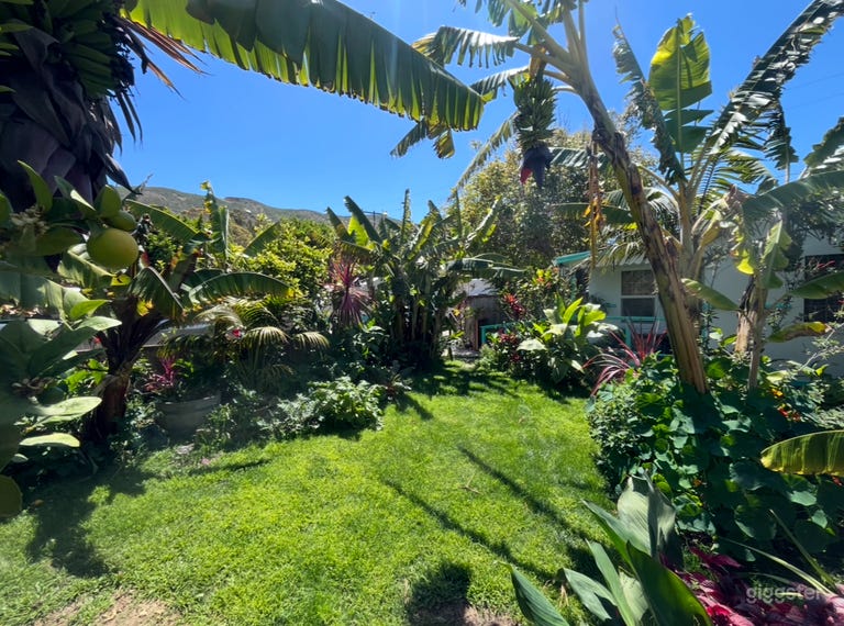  Lush tropical garden and banana farm 
