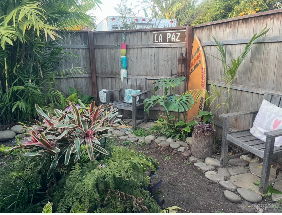 Lush tropical garden and banana farm Photo 2