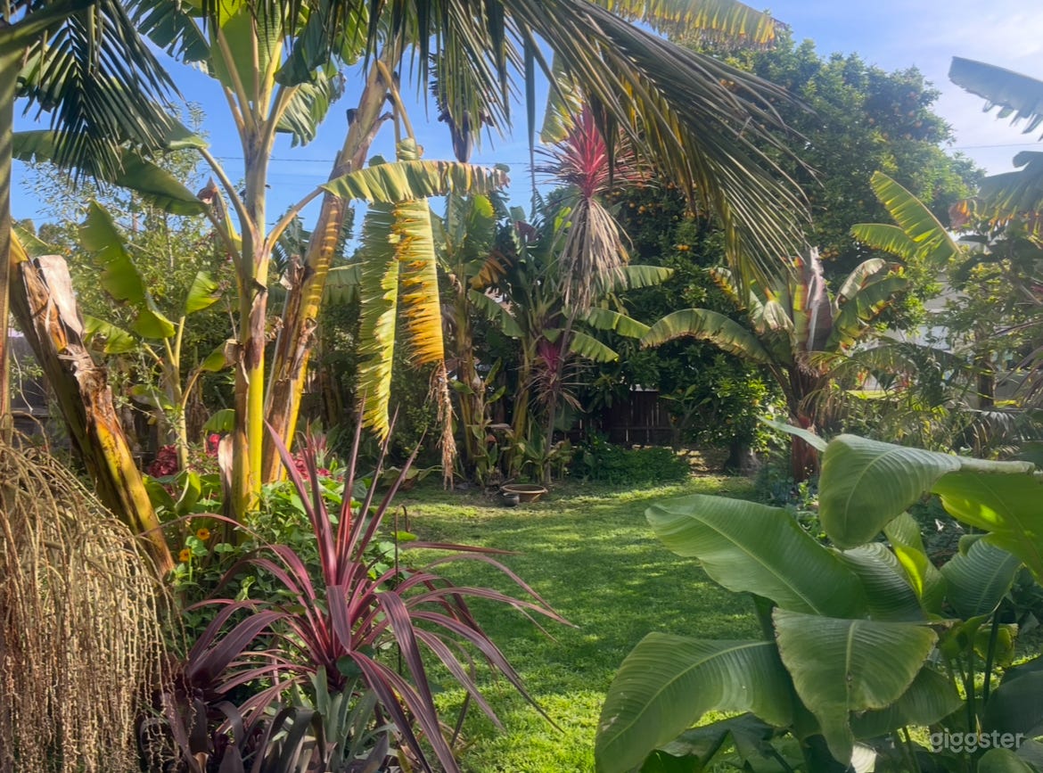 Lush tropical garden and banana farm Photo 3