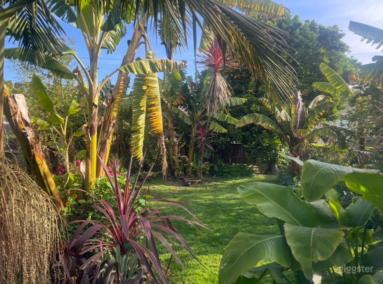  Lush tropical garden and banana farm 