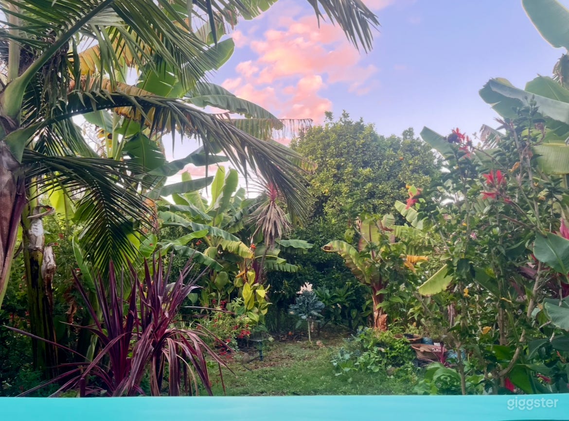 Lush tropical garden and banana farm Photo 1