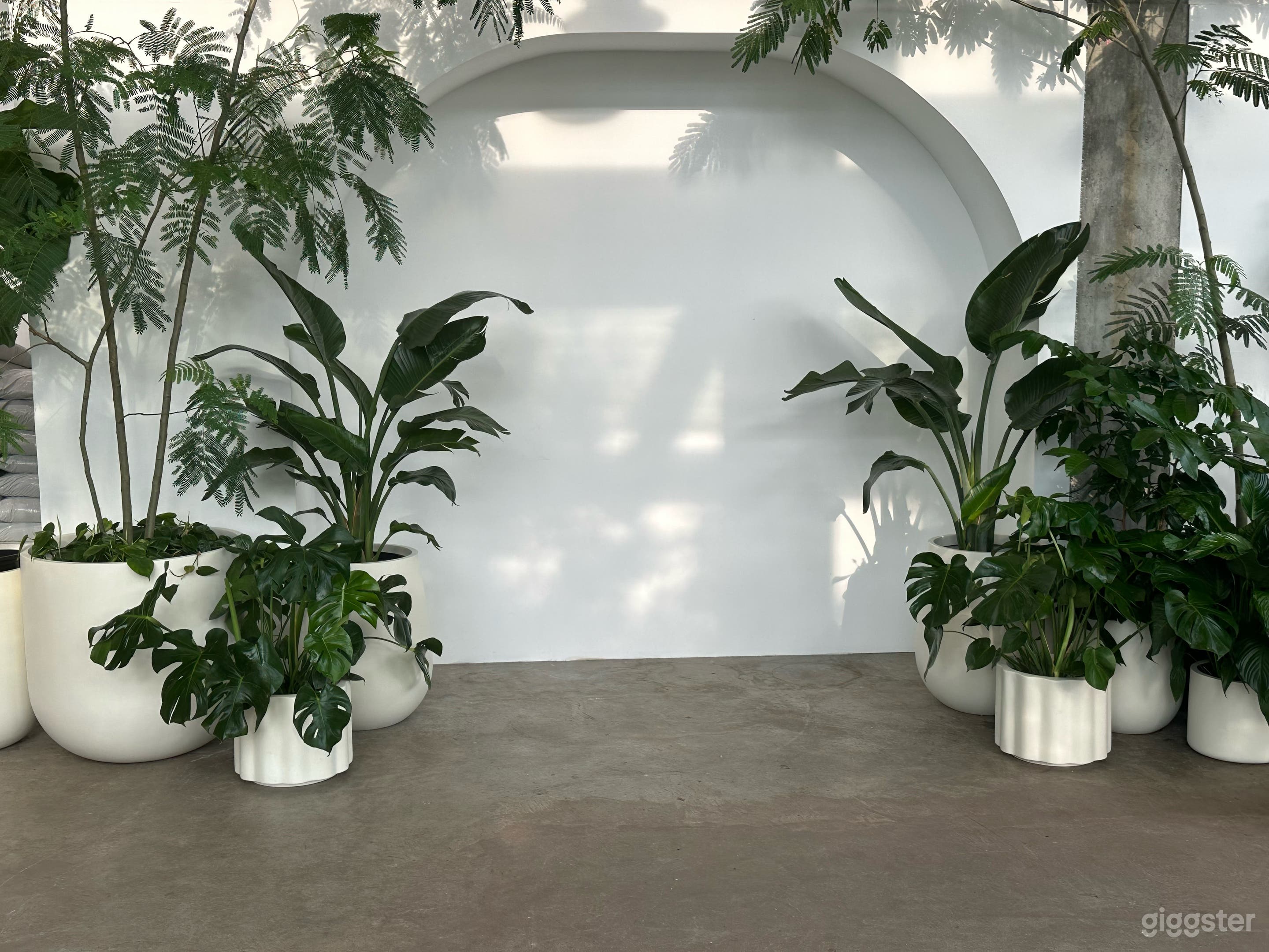 Inside feature wall - Can be decorated with plants or left empty - great for weddings. 