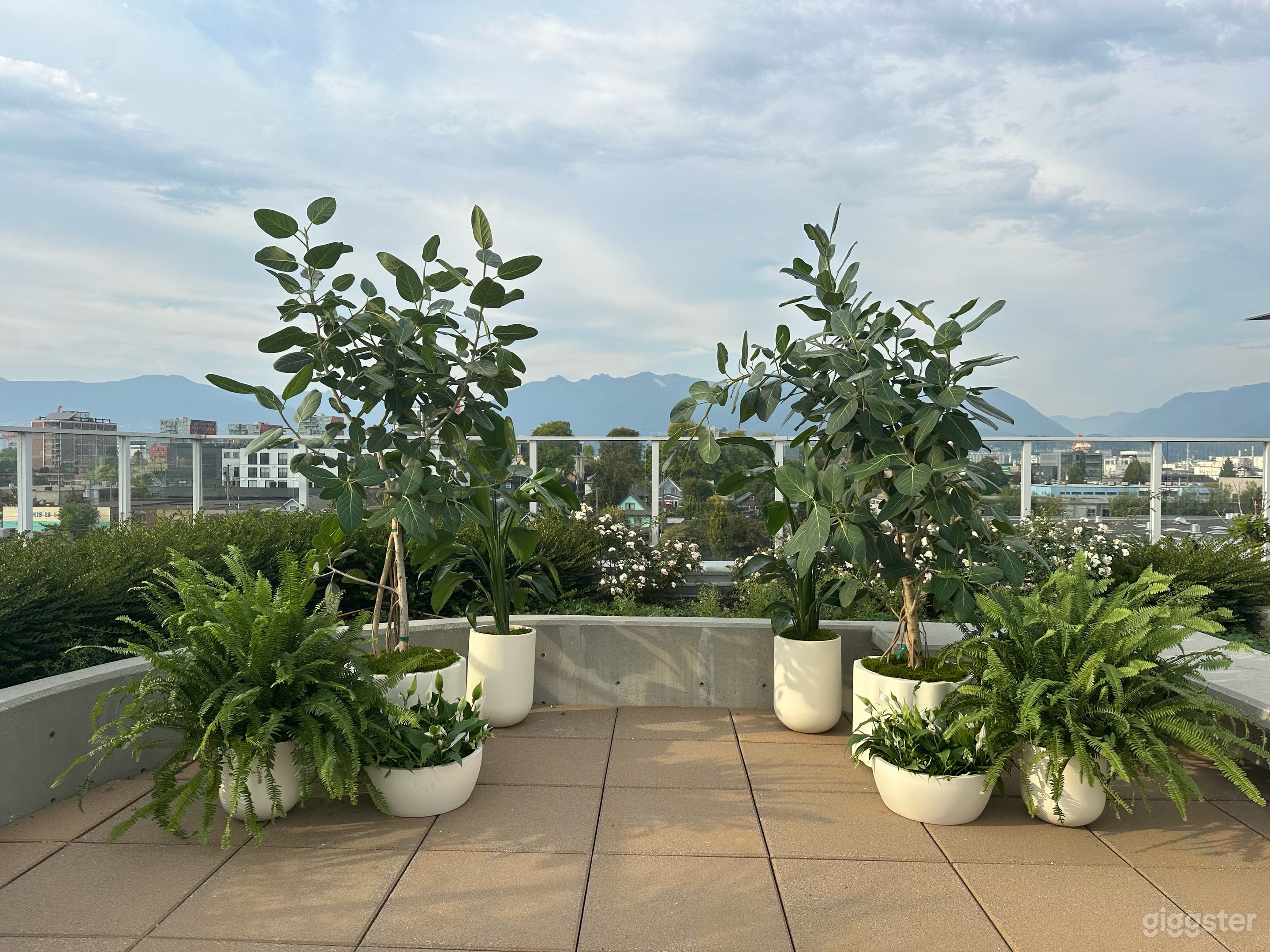 Rooftop view with added plants
