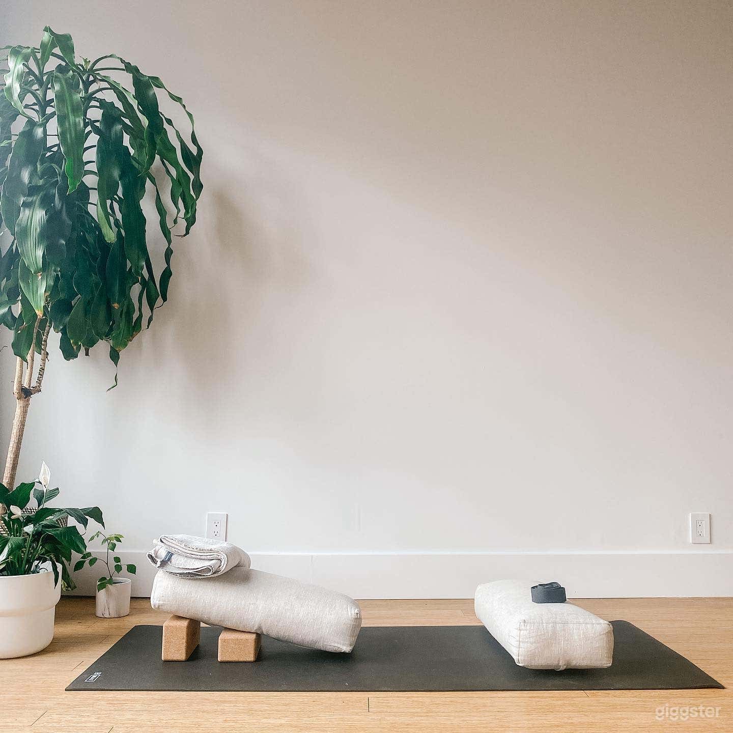 Serene Yoga &amp; Wellness Studio Photo 2