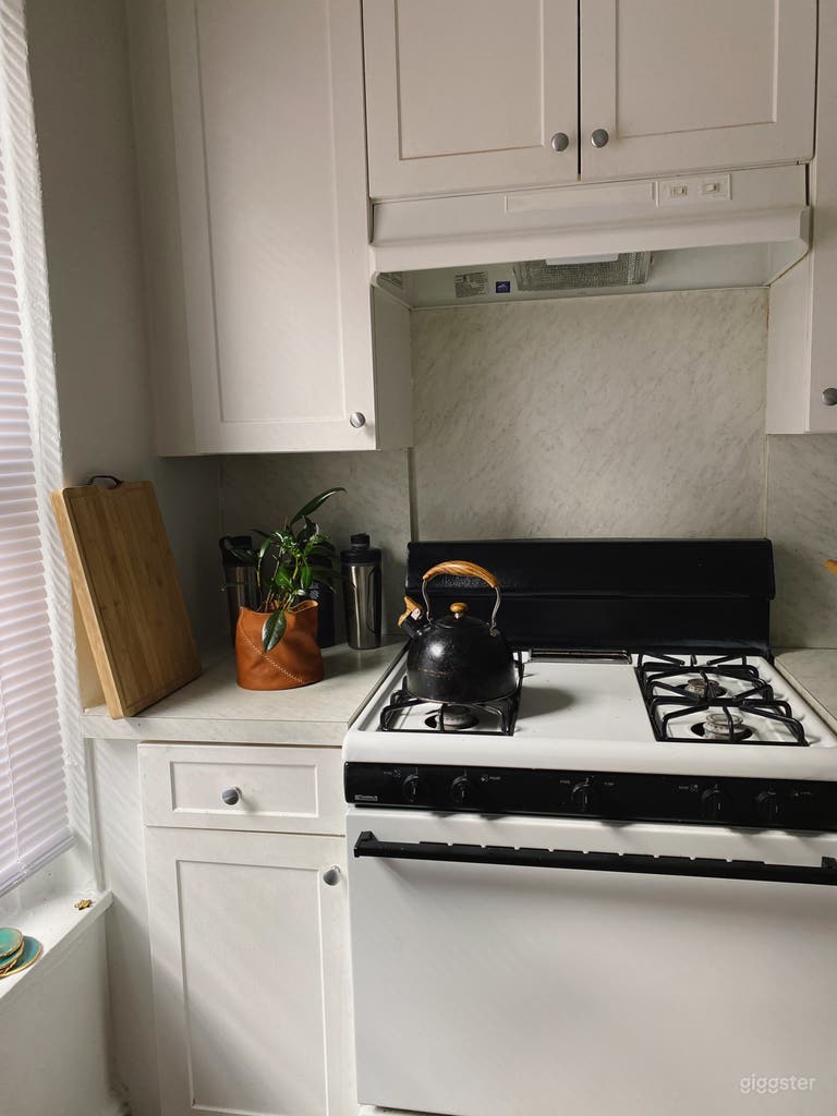  vintage new york city apartment 