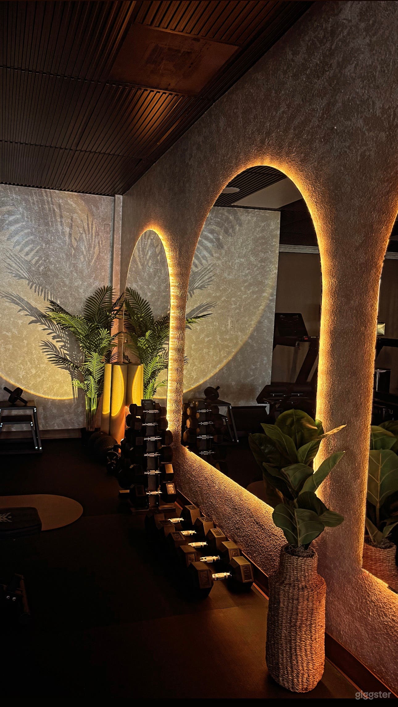 Fitness and Wellness Club Photo 3