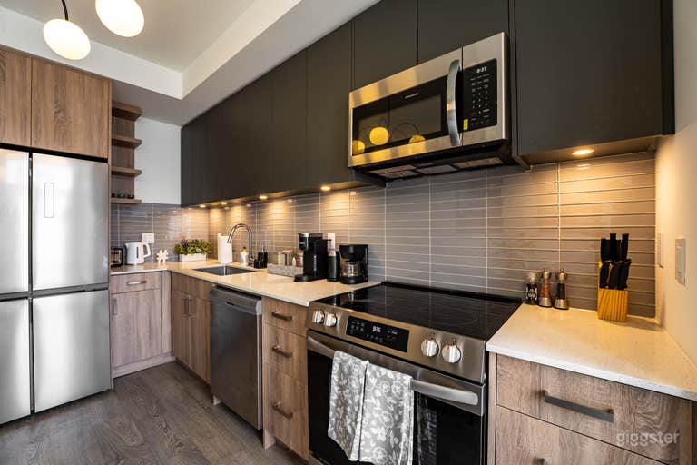  Stylish and New Mid-Century Modern Townhouse 