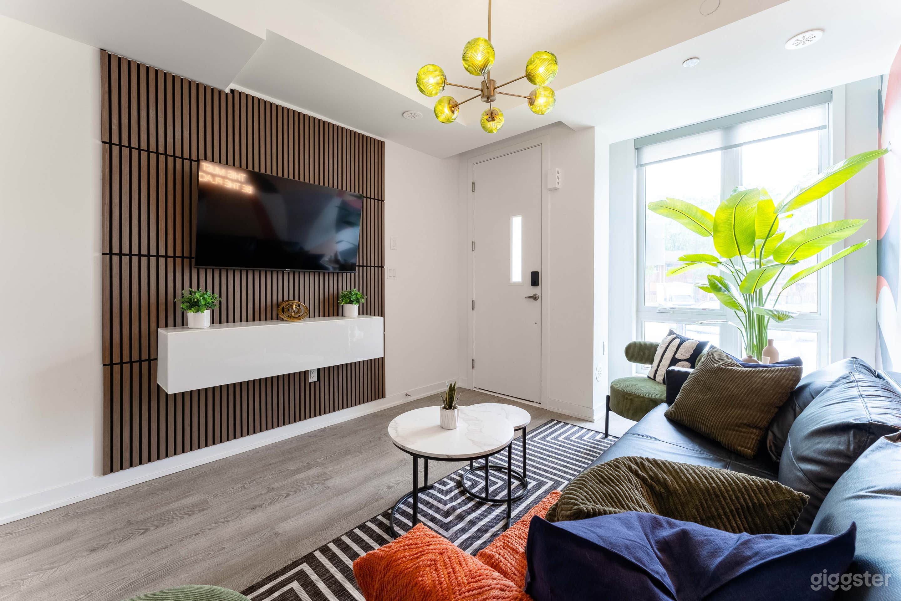 Stylish and New Mid-Century Modern Townhouse Photo 2