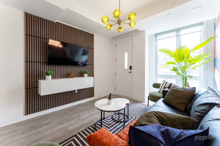  Stylish and New Mid-Century Modern Townhouse 