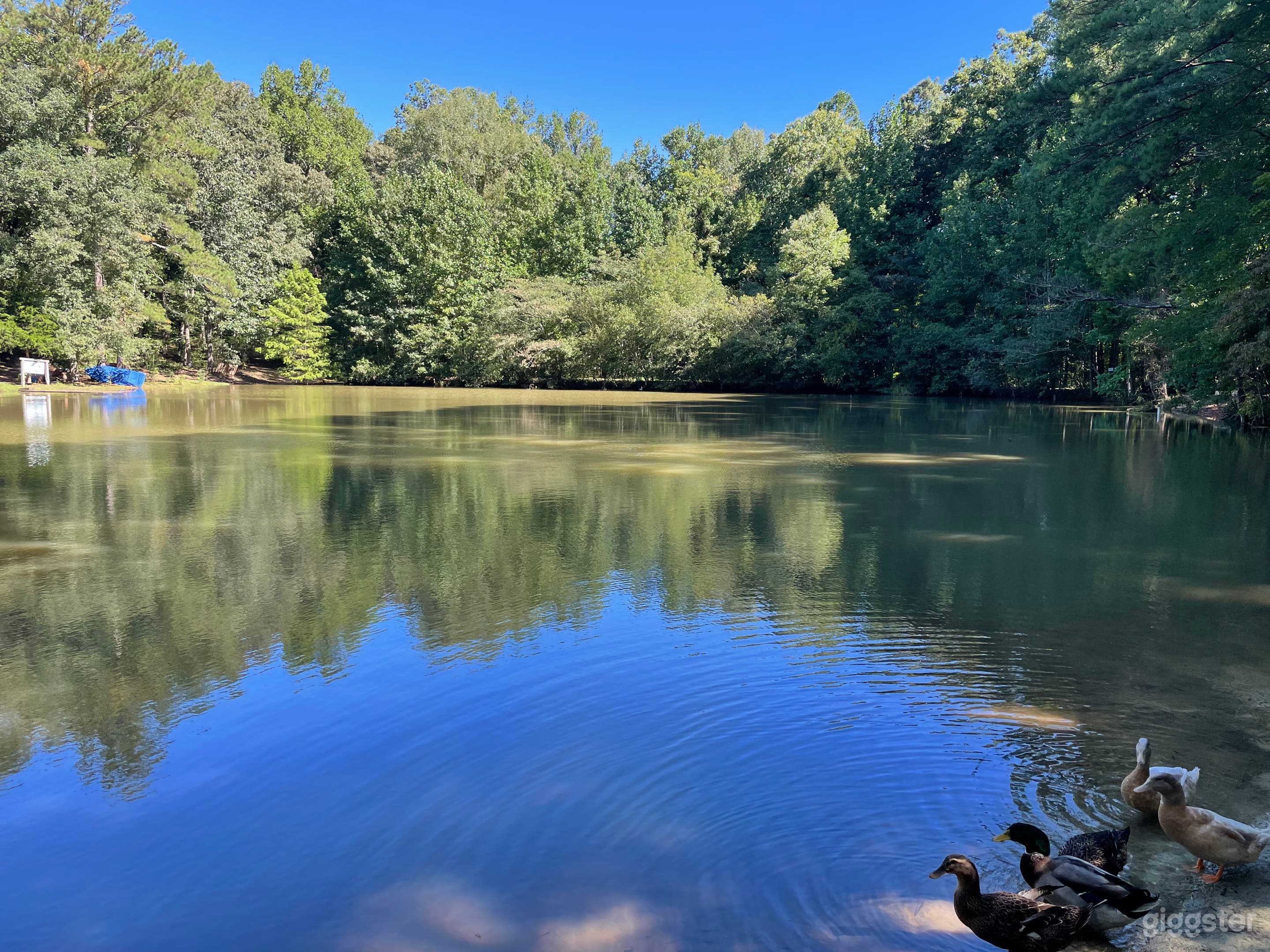 Perfect for nature scenes and walks or corporate outdoor team building and recreation!