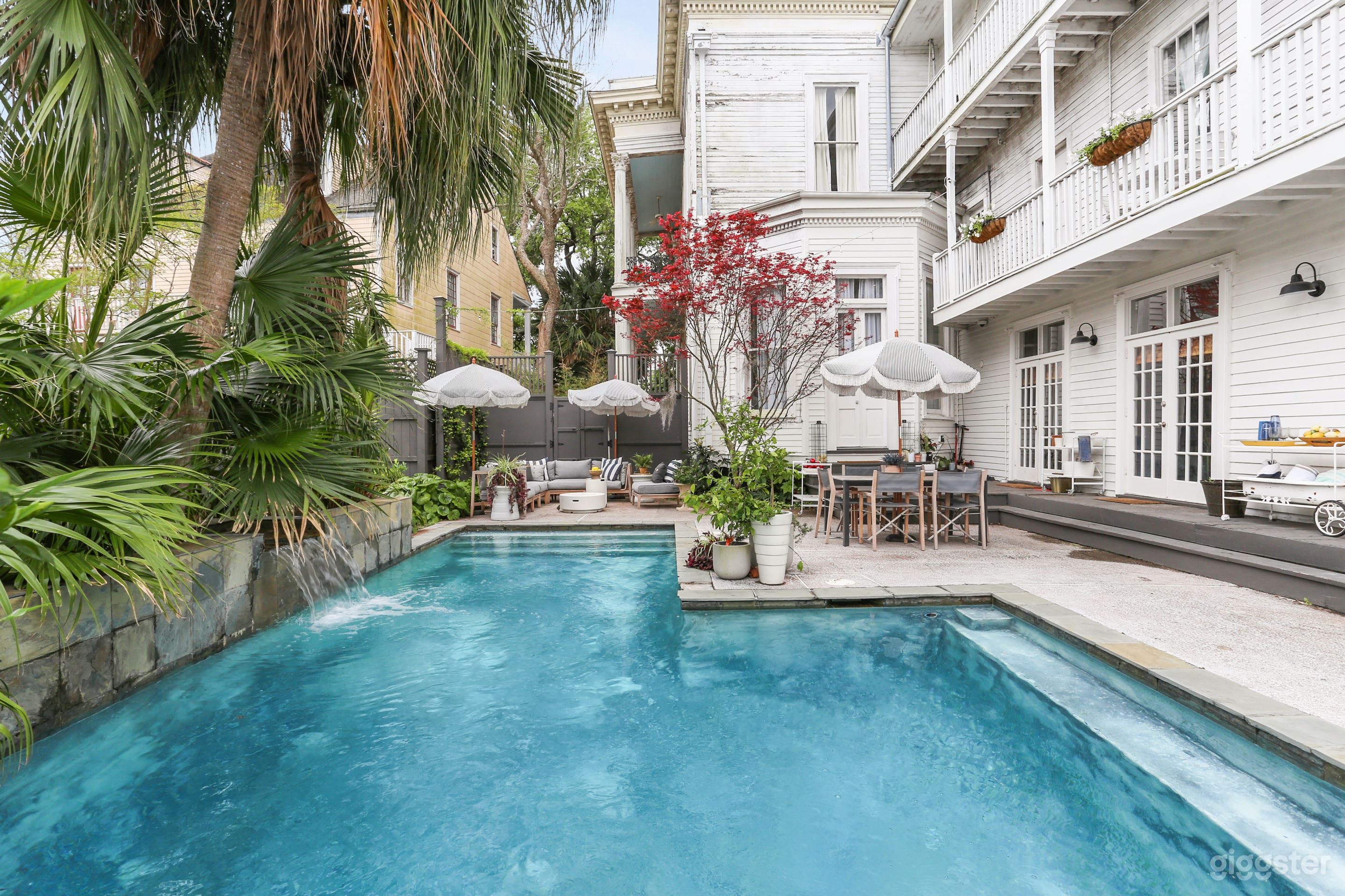 Lush palms by salt water pool.