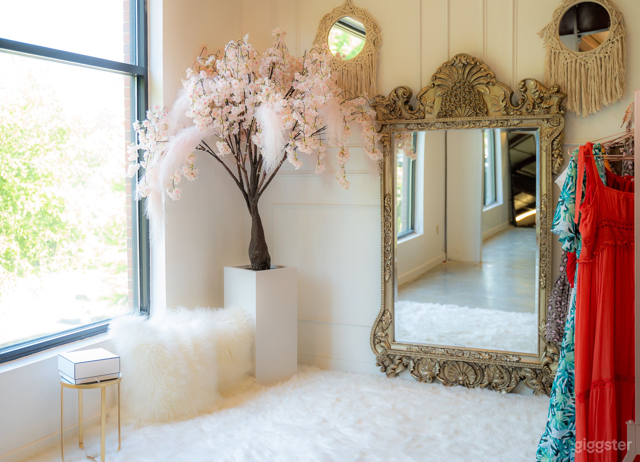 Gorgeous Modern 6 in 1 Photo/Video Studio Photo 2