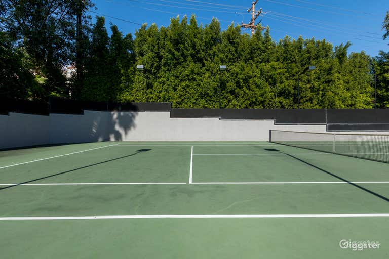  Full Access Tennis Court in Fox Chapel 